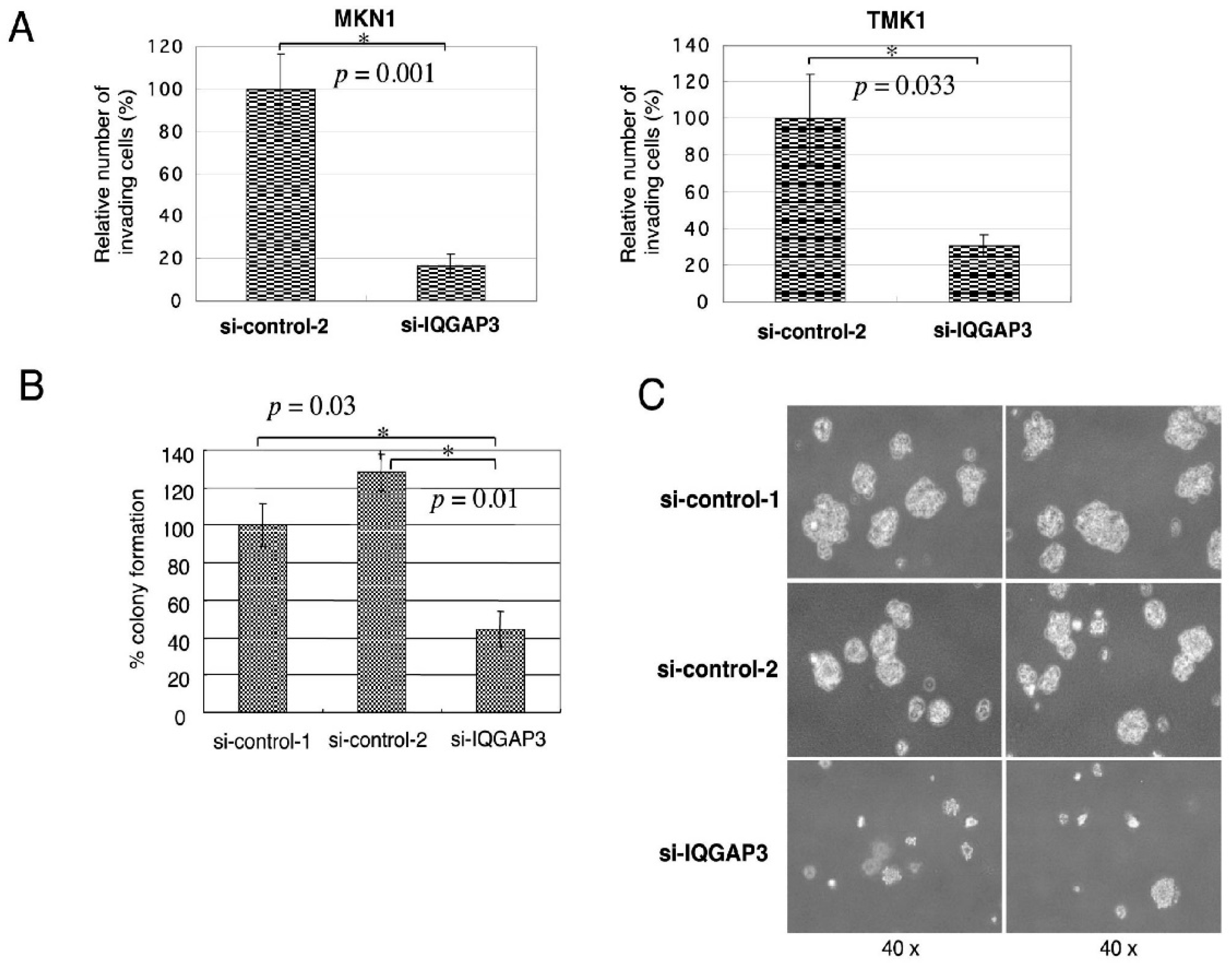 Biomolecules 10 01194 g005 Biomolecules 10 01194 g005