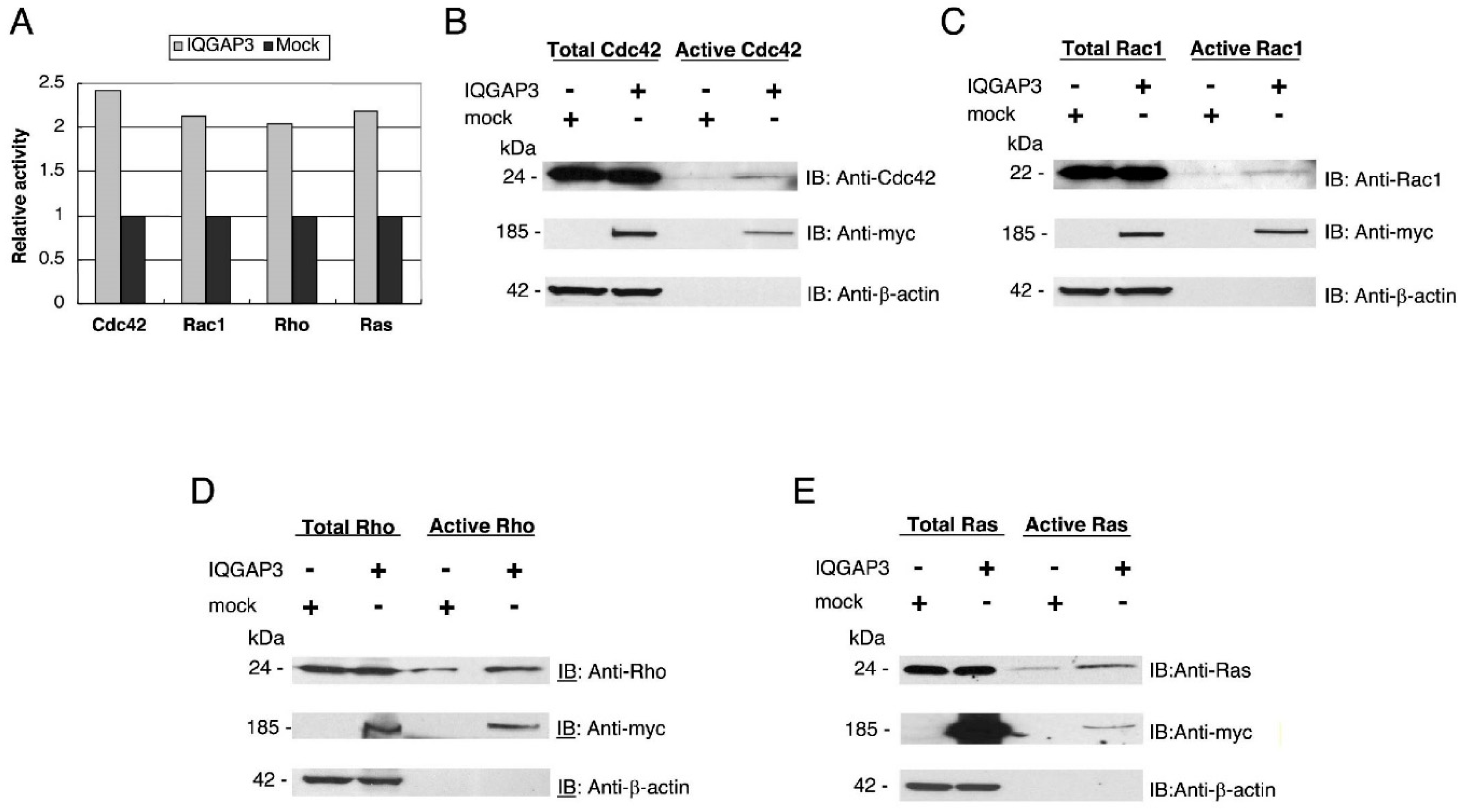 Biomolecules 10 01194 g006 Biomolecules 10 01194 g006