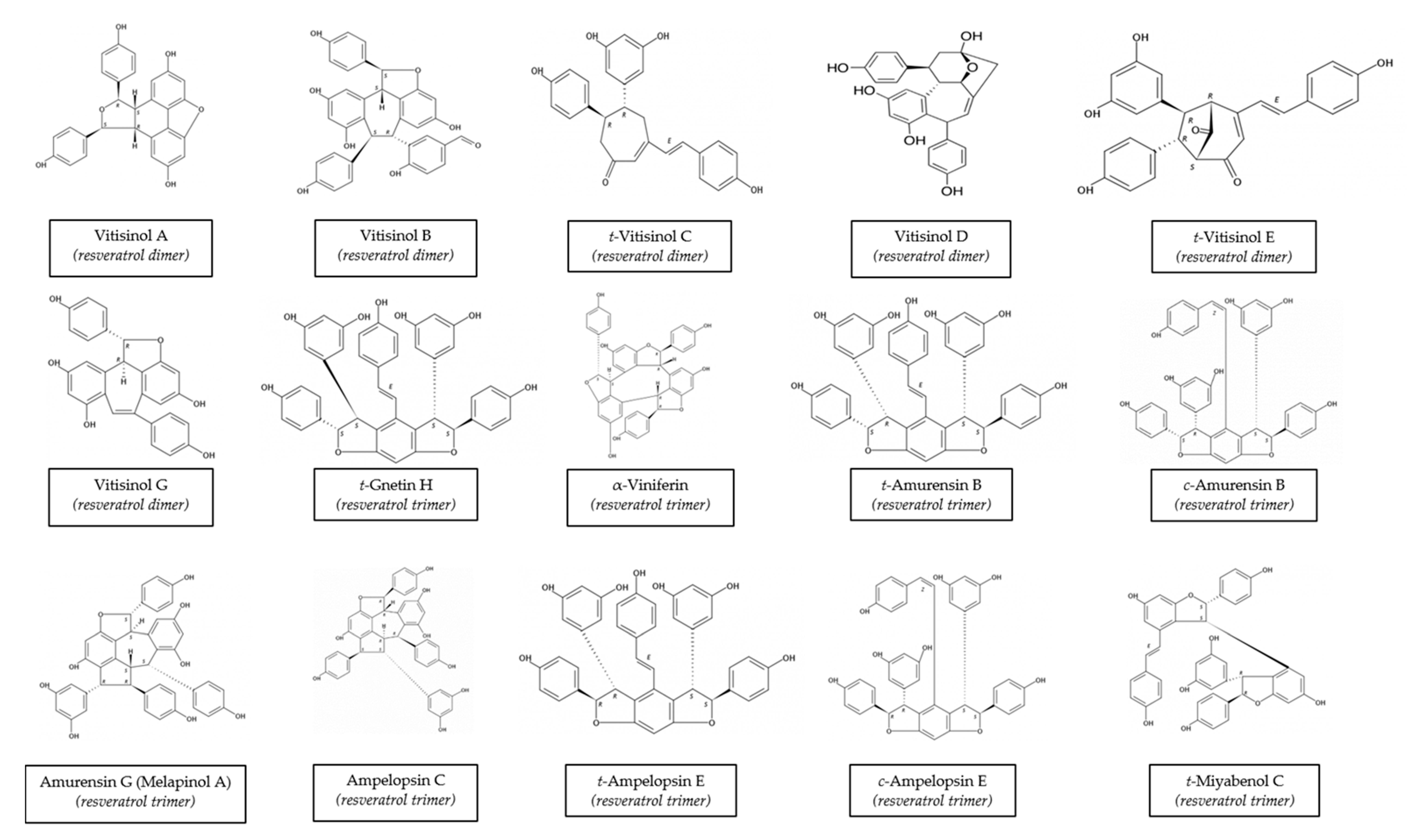 Biomolecules 10 01195 g001b Biomolecules 10 01195 g001b