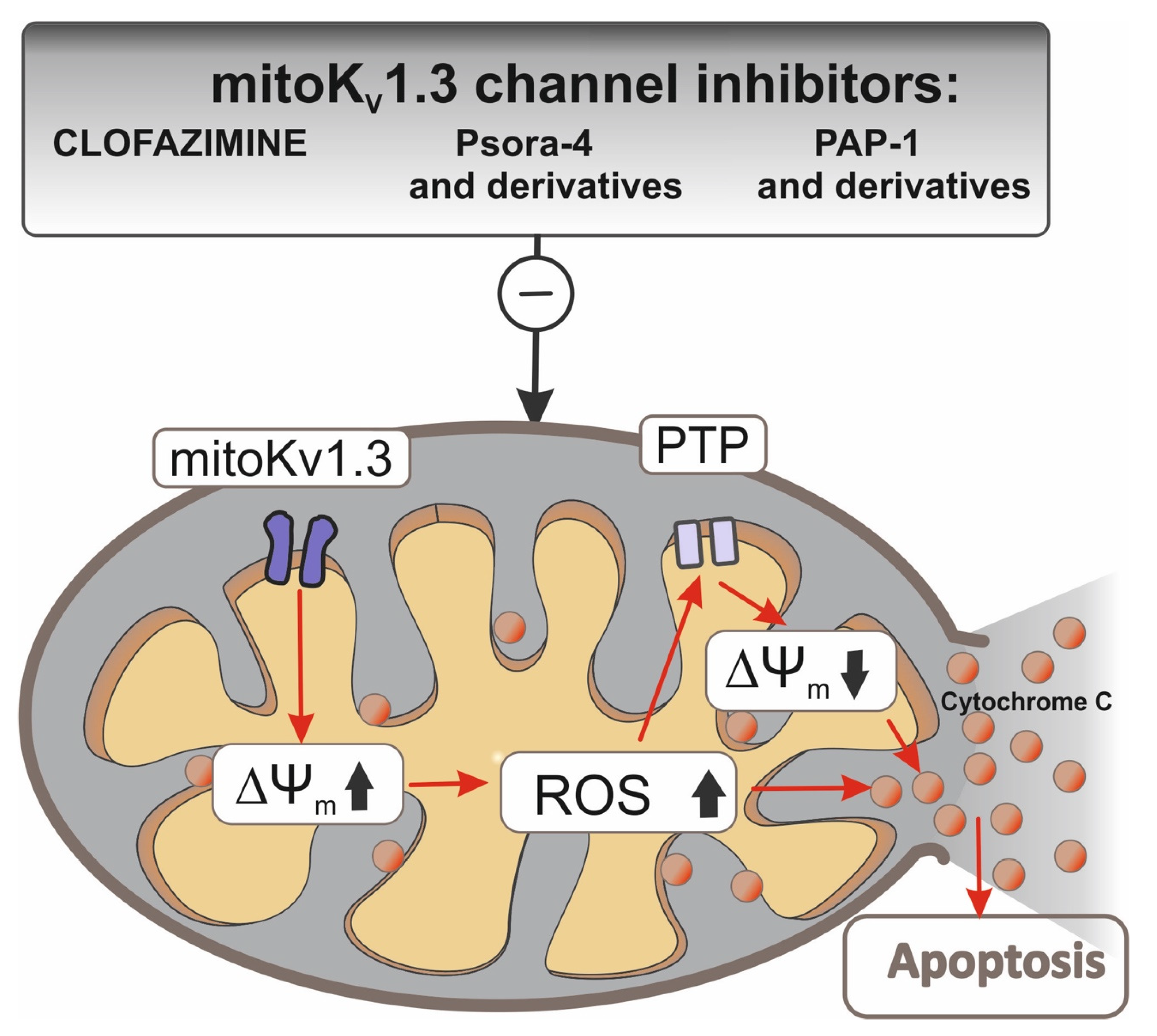 Biomolecules 10 01200 g002