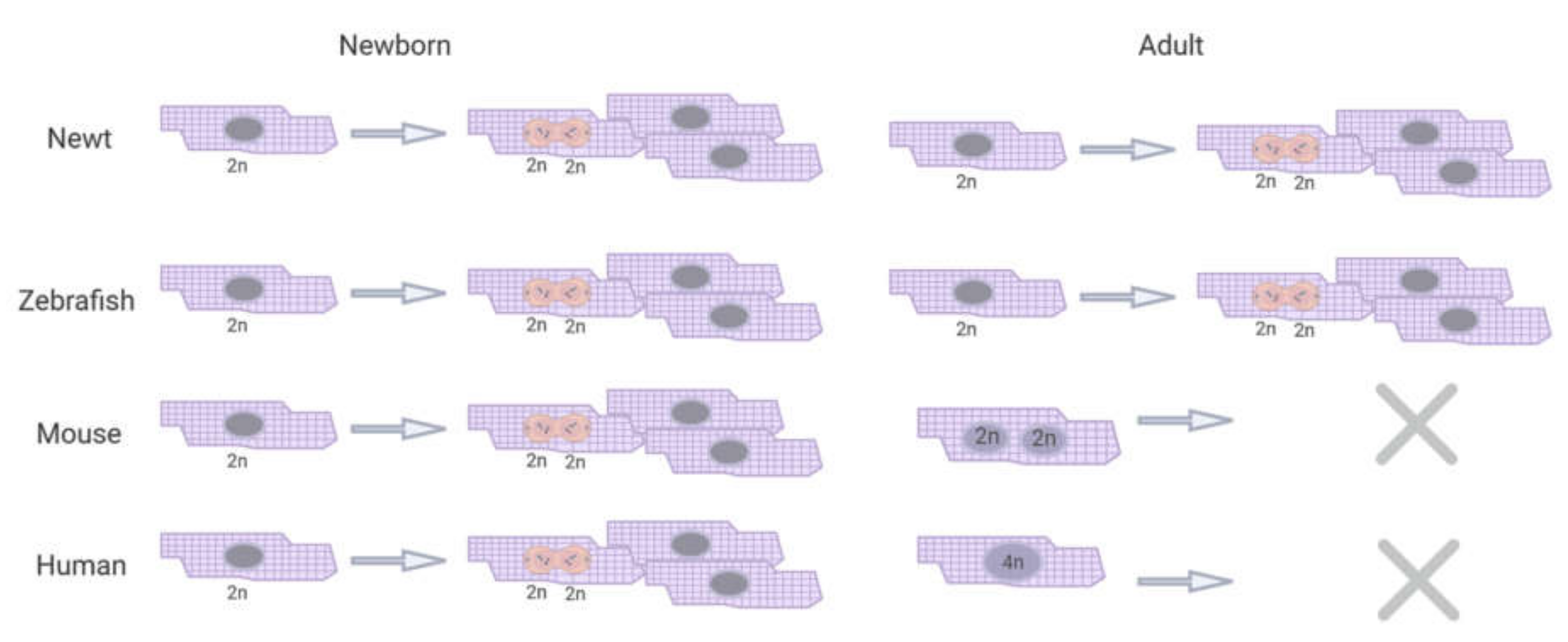 Biomolecules 10 01204 g002