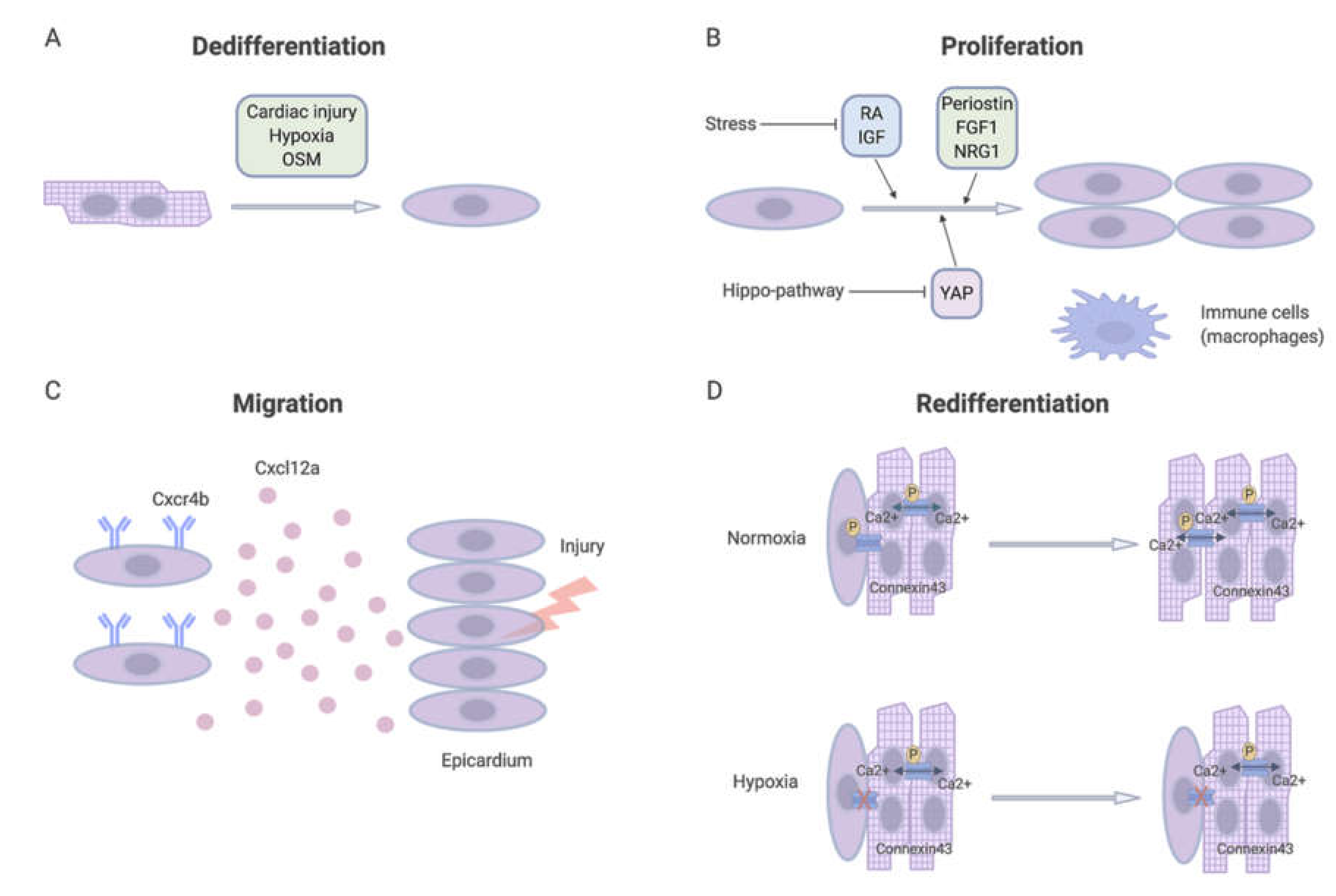 Biomolecules 10 01204 g003