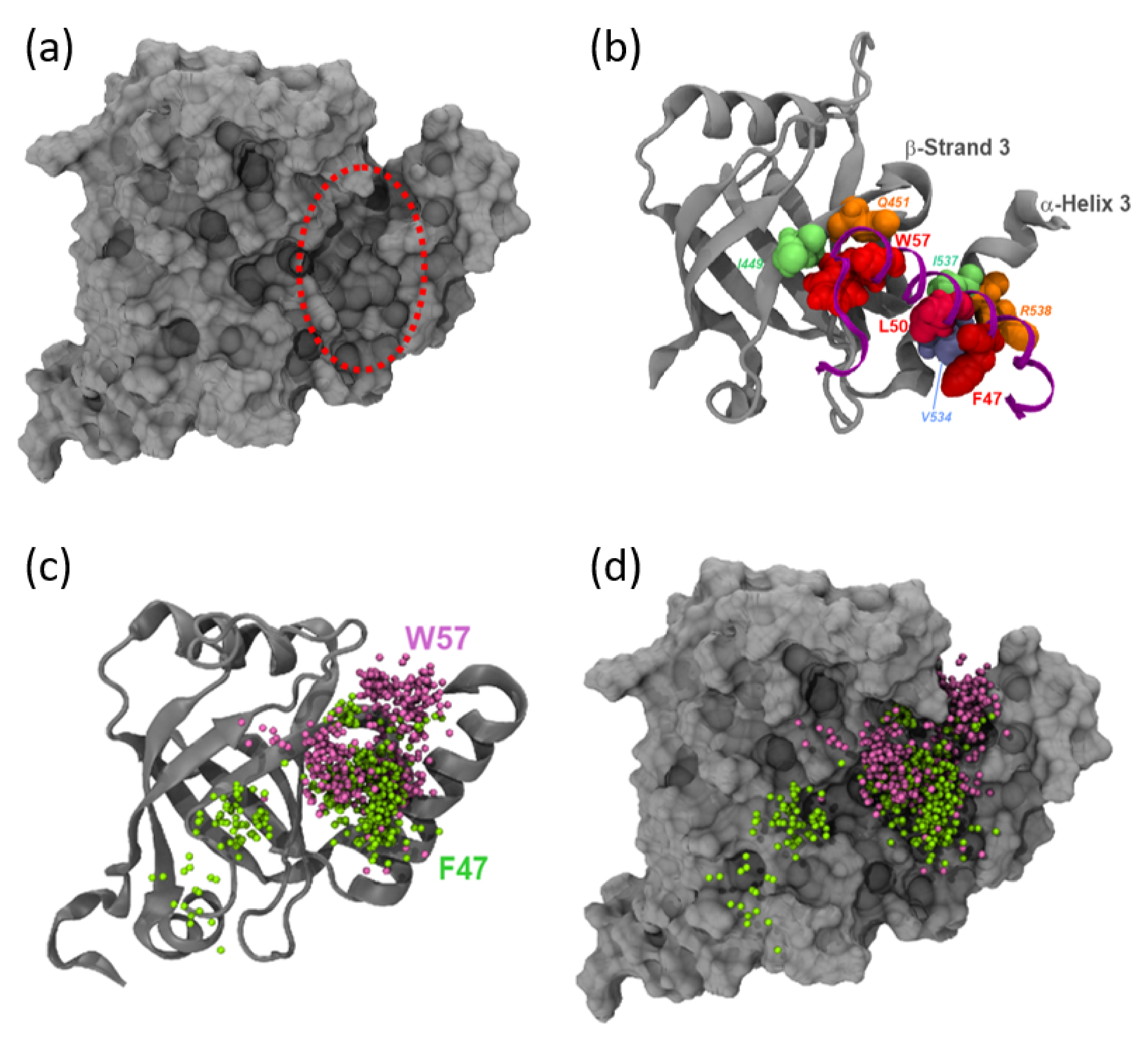 Biomolecules 10 01205 g006