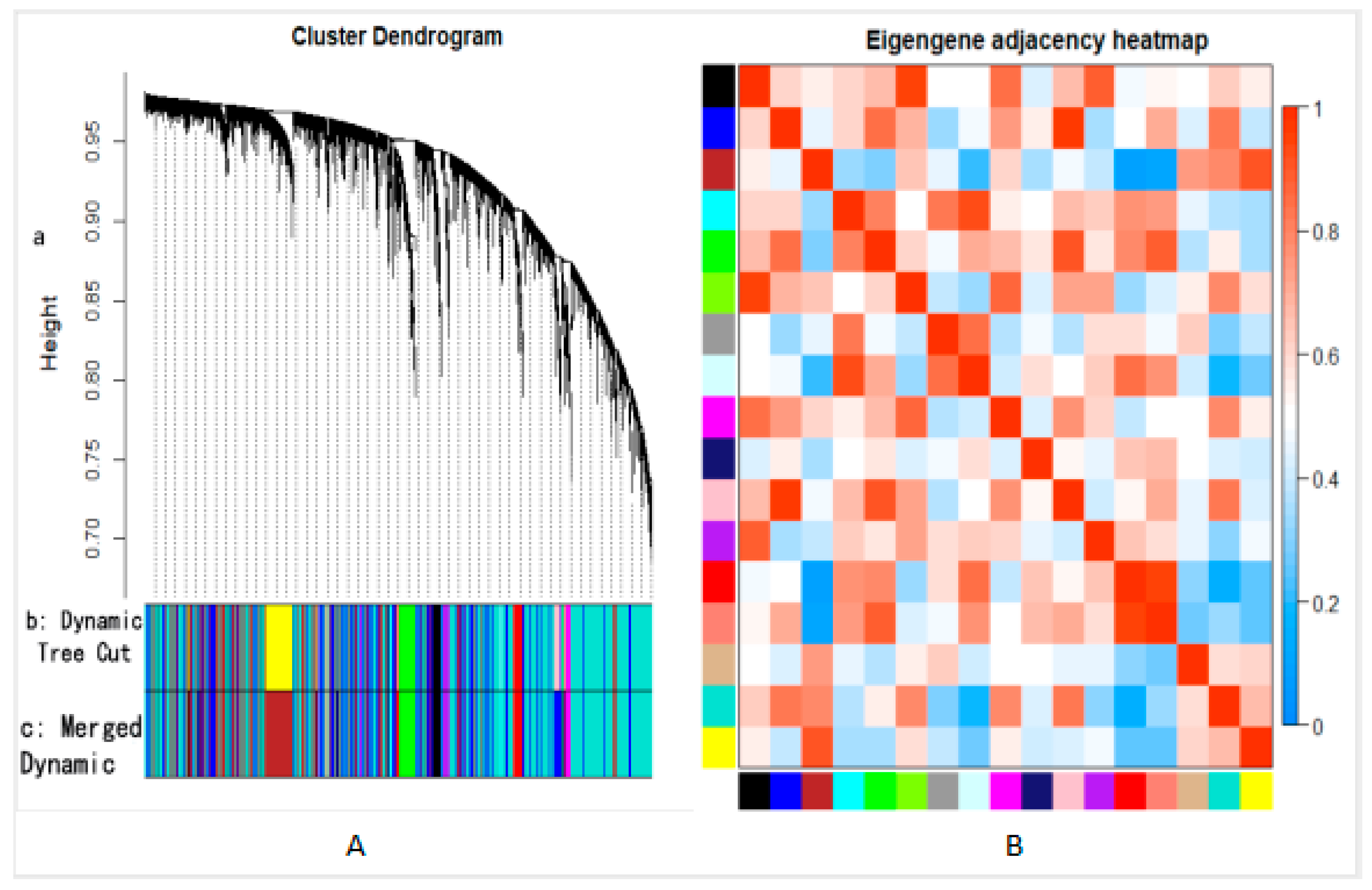 Biomolecules 10 01207 g002