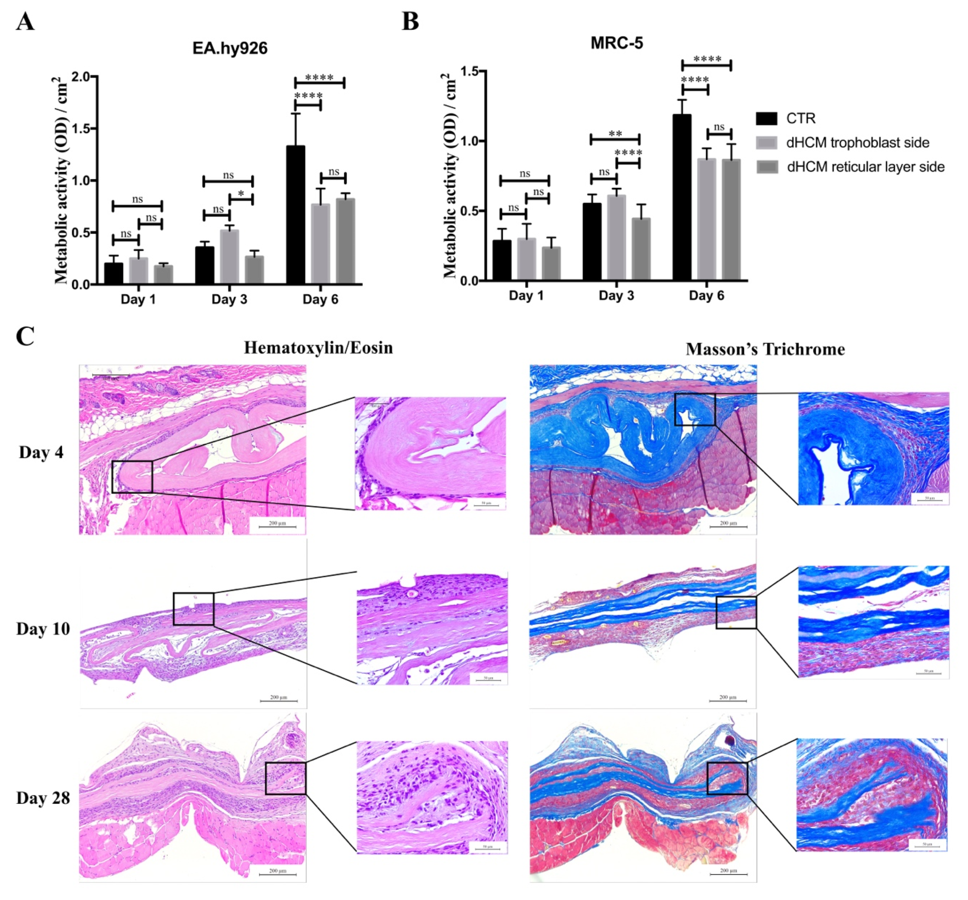 Biomolecules 10 01208 g004 Biomolecules 10 01208 g004