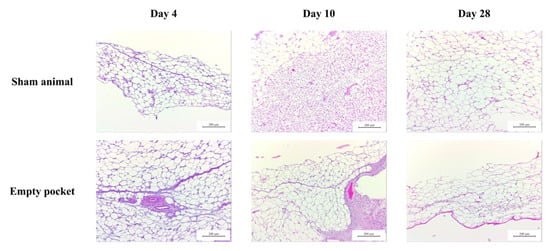 Biomolecules 10 01208 g0a1