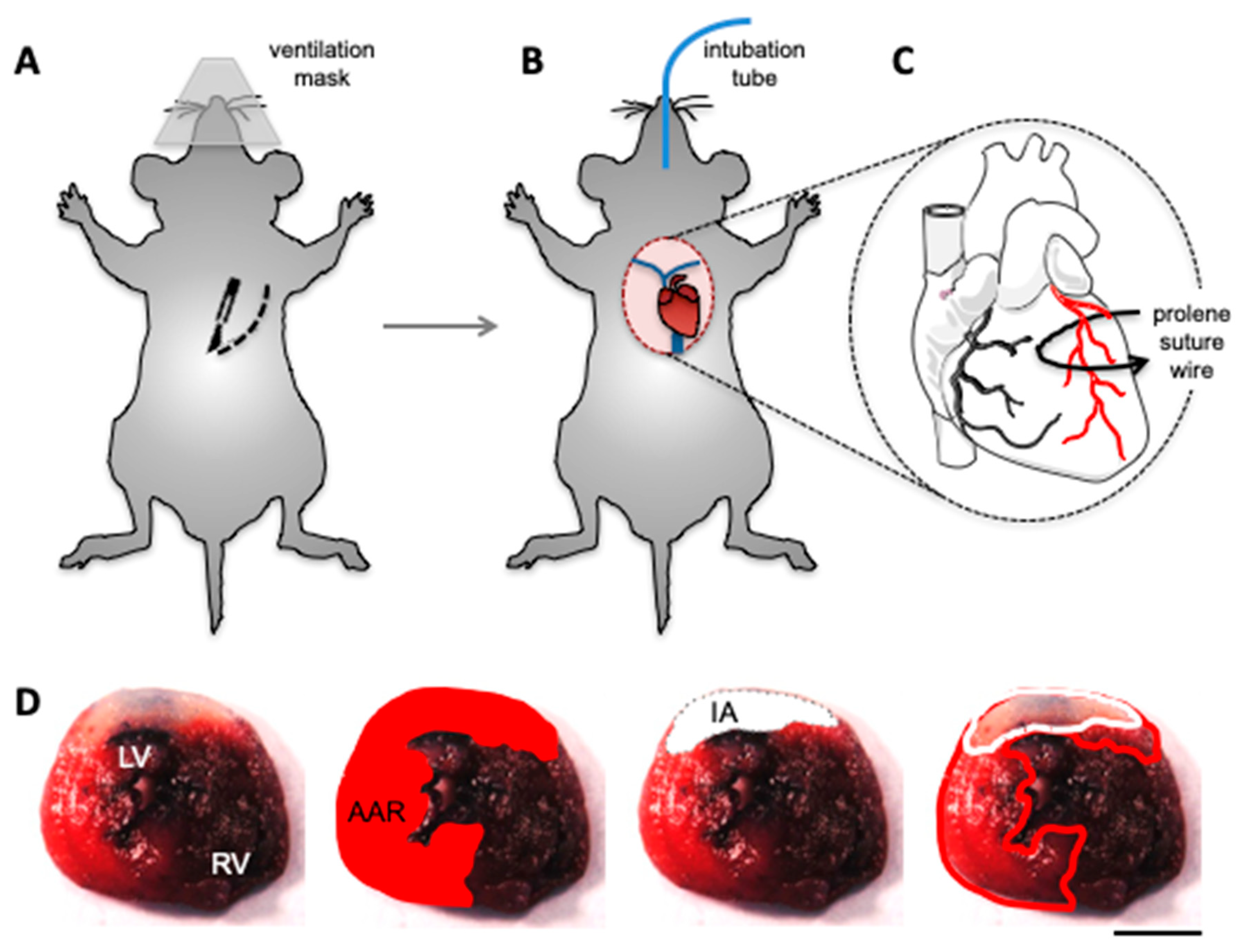 Biomolecules 10 01225 g002
