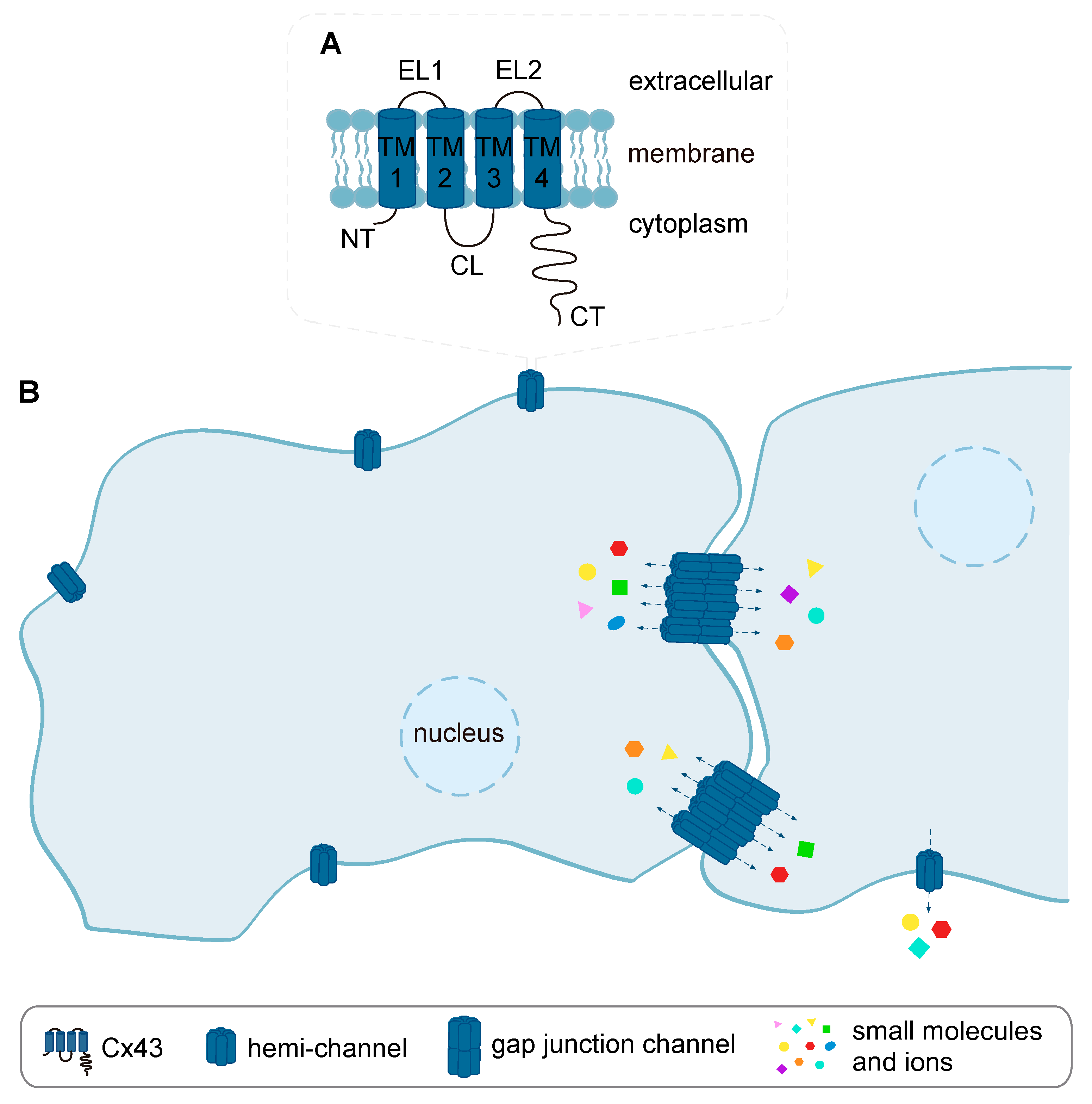 Biomolecules 10 01225 g003