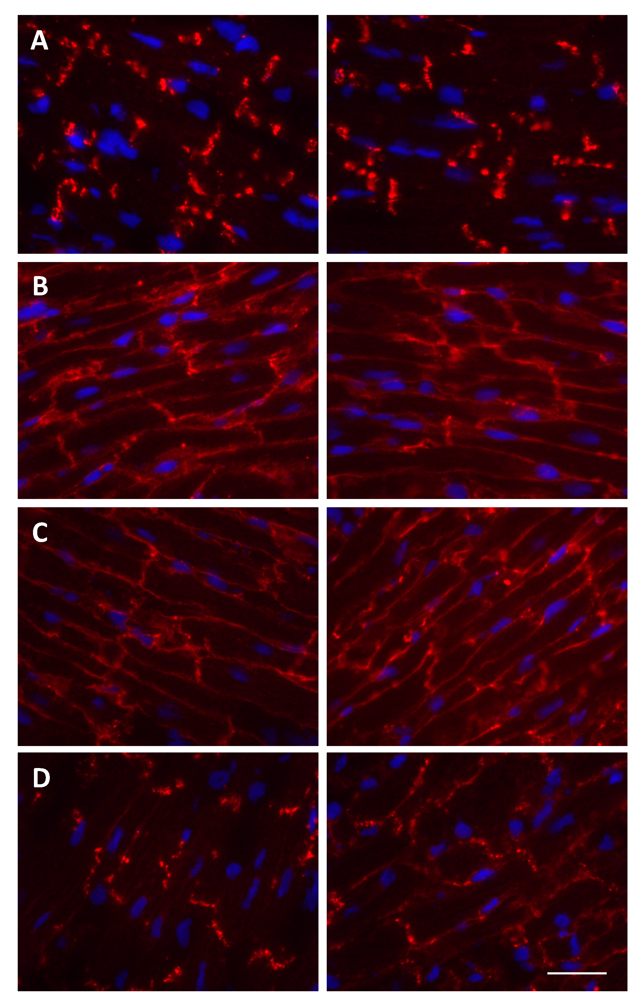 Biomolecules 10 01225 g004