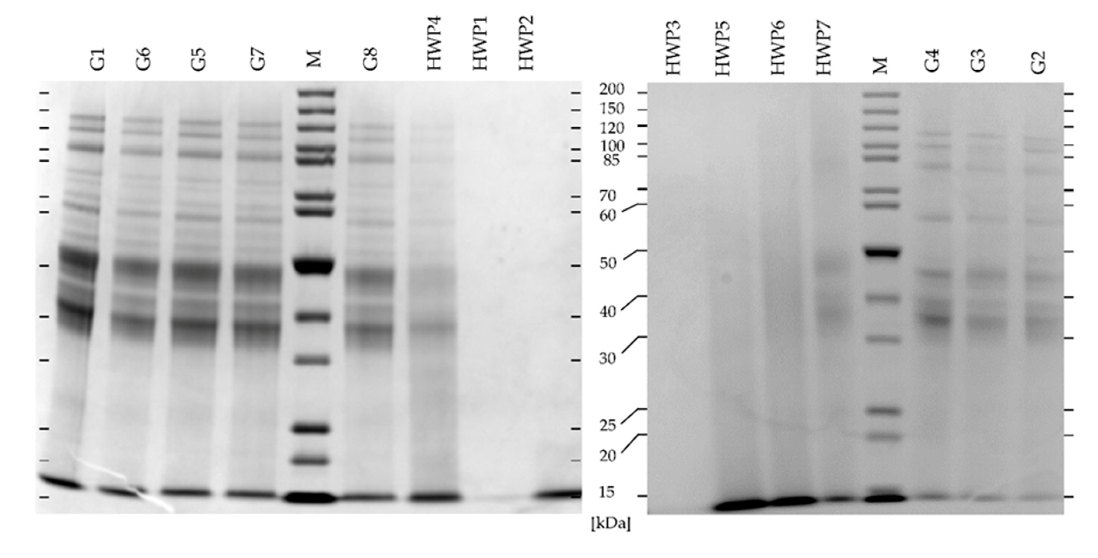 Biomolecules 10 01227 g003