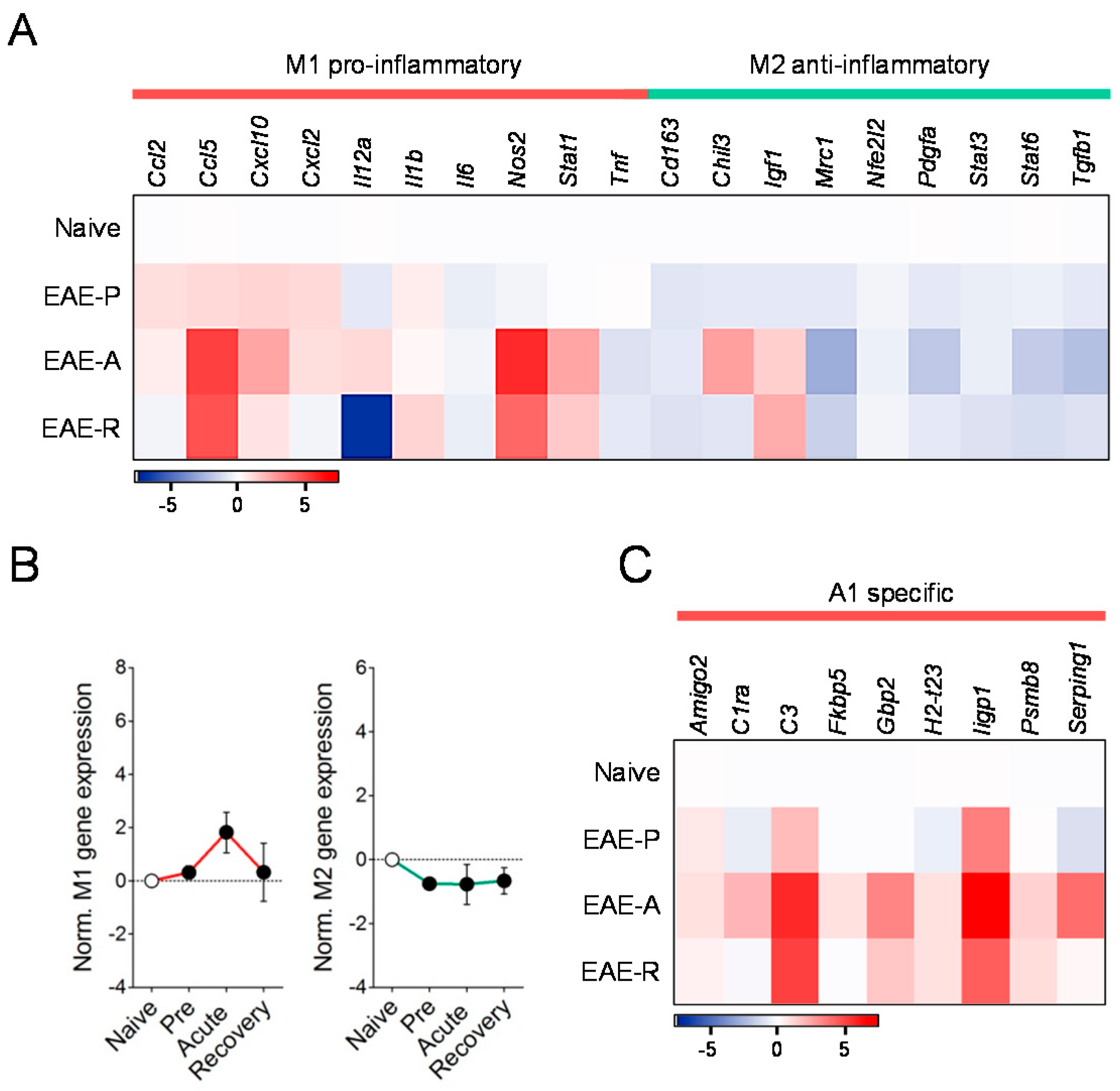 Biomolecules 10 01228 g004 Biomolecules 10 01228 g004