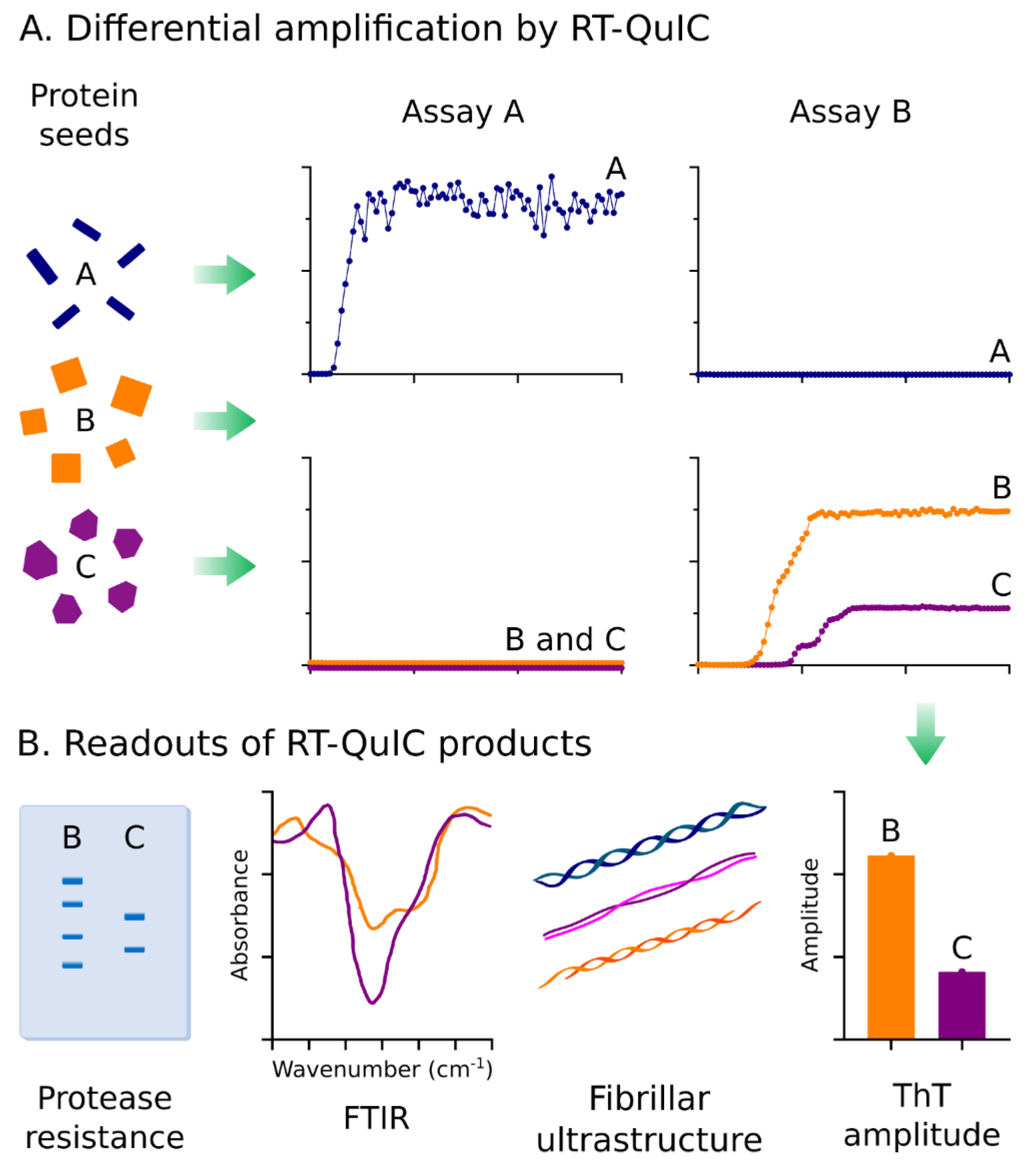 Biomolecules 10 01233 g002 Biomolecules 10 01233 g002