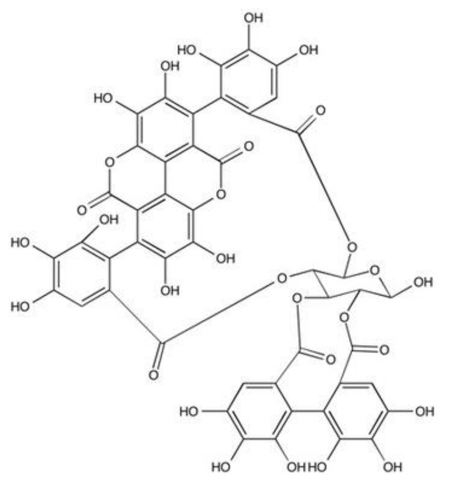 Biomolecules 10 01234 g001
