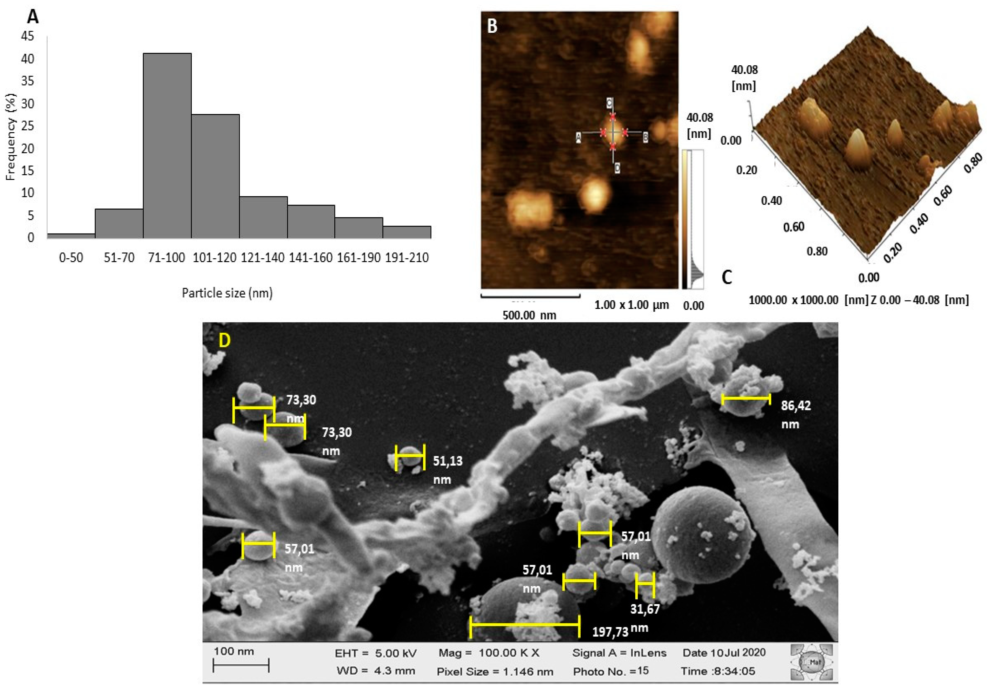 Biomolecules 10 01235 g003