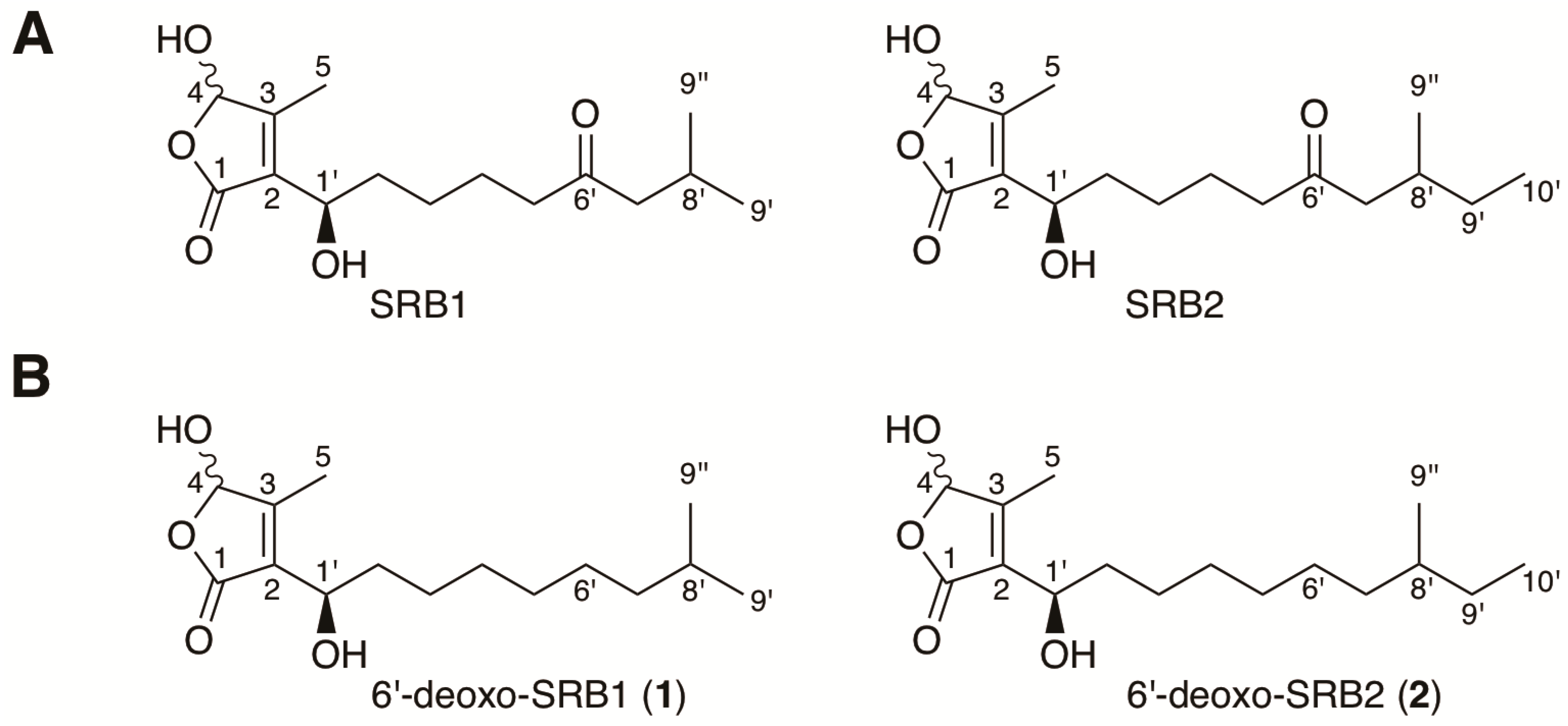 Biomolecules 10 01237 g001