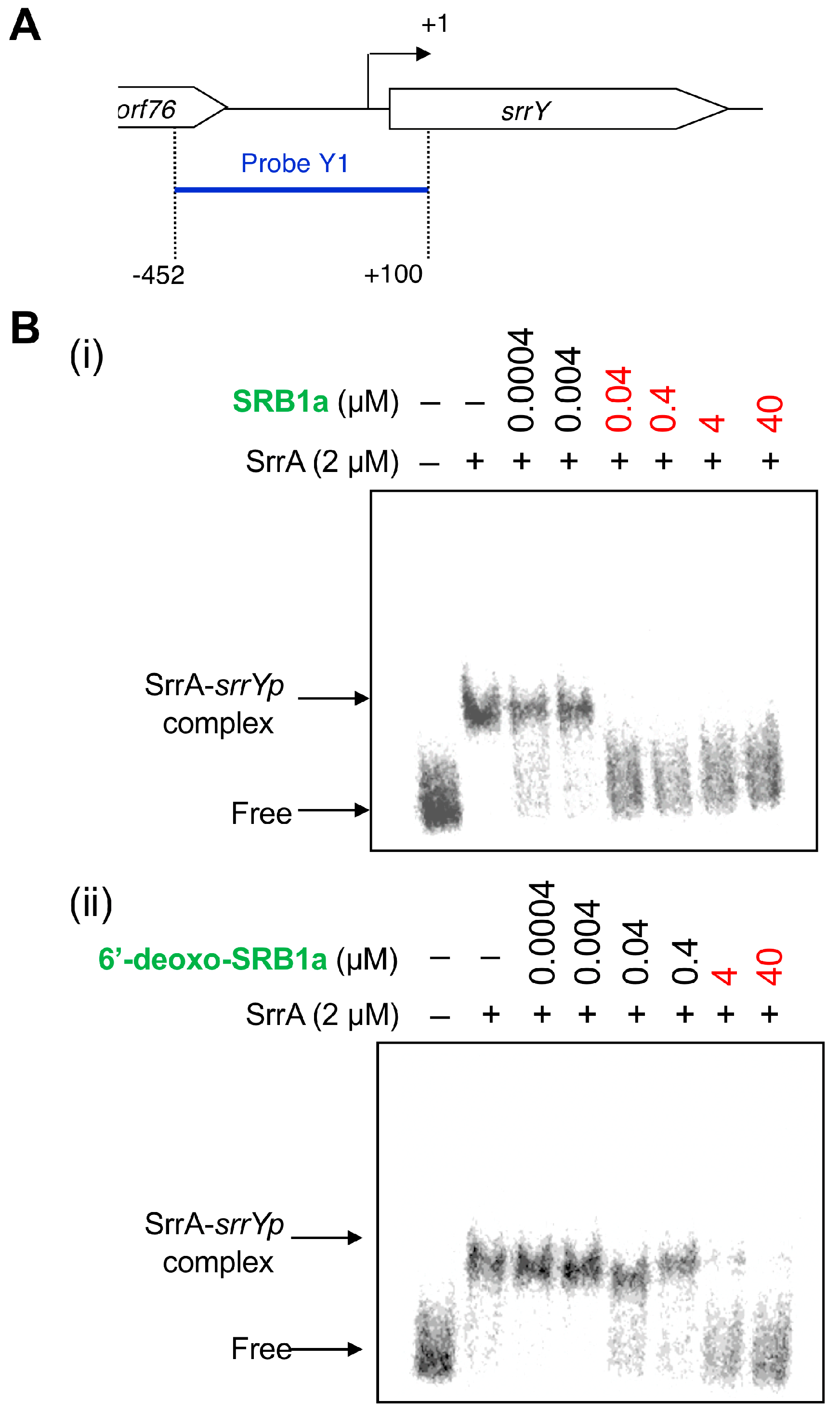 Biomolecules 10 01237 g004