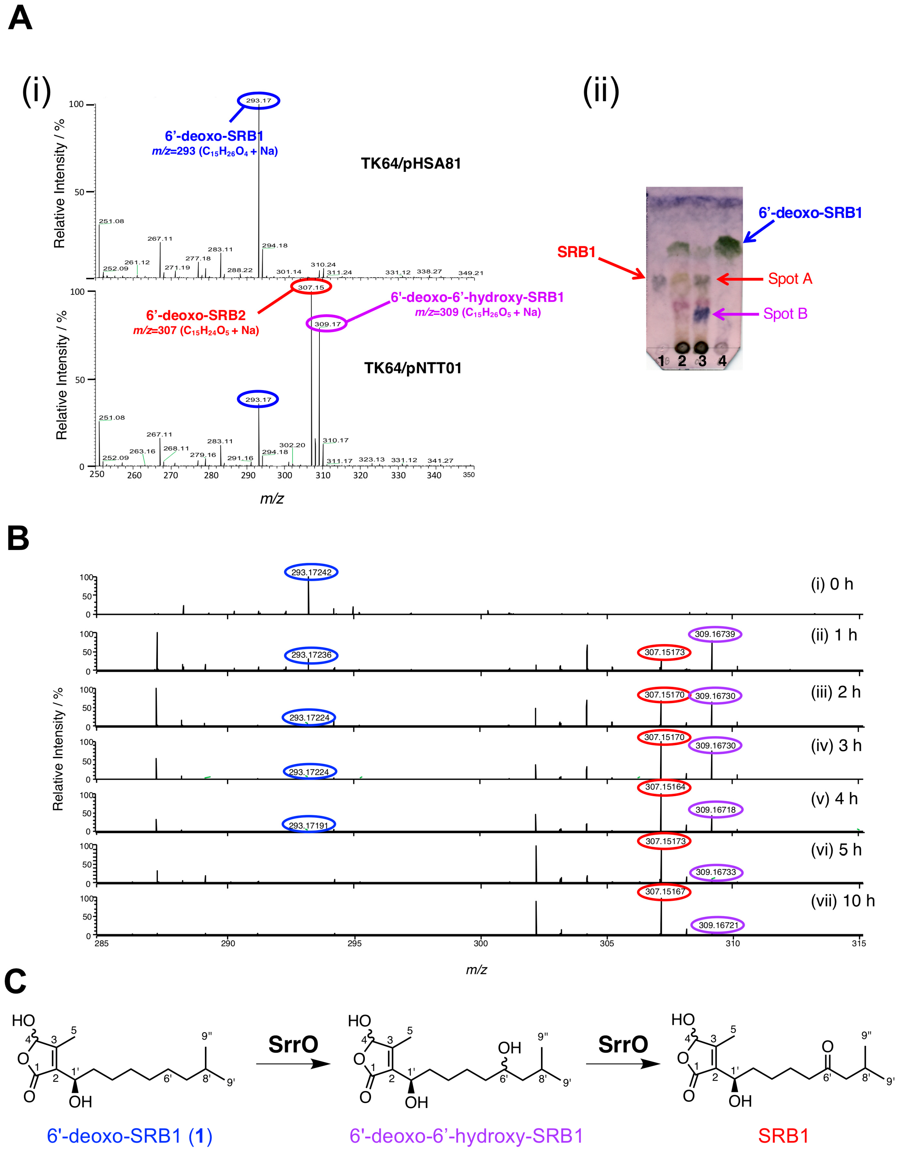 Biomolecules 10 01237 g005