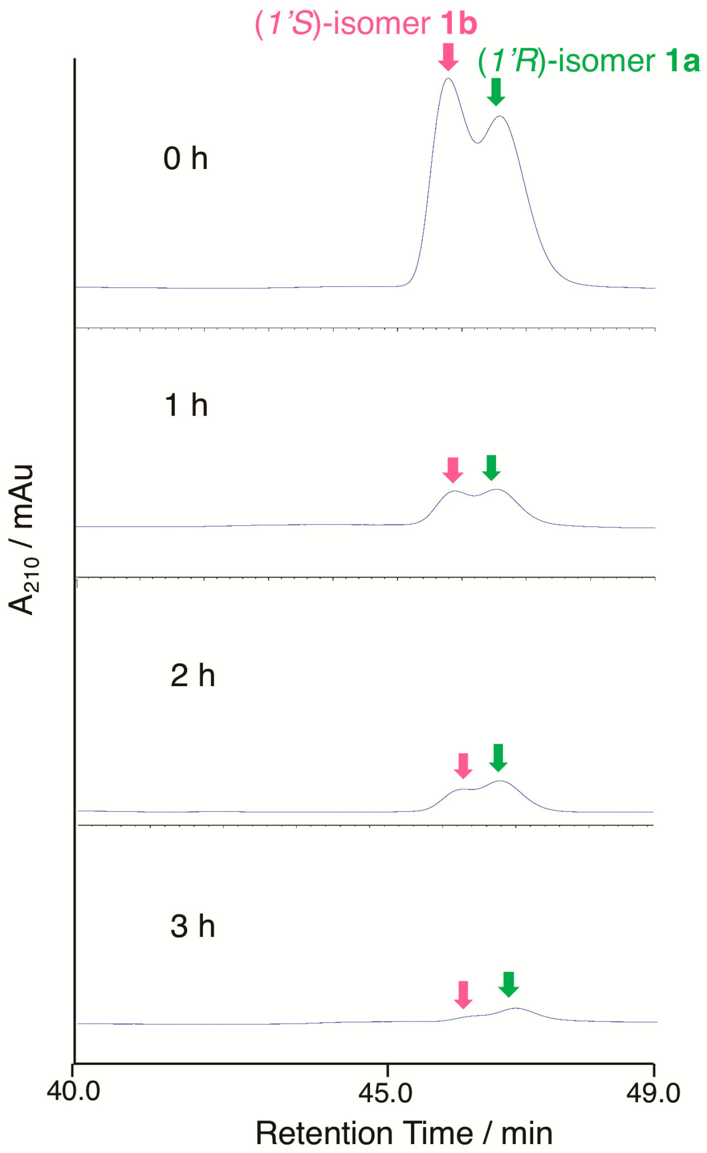 Biomolecules 10 01237 g006