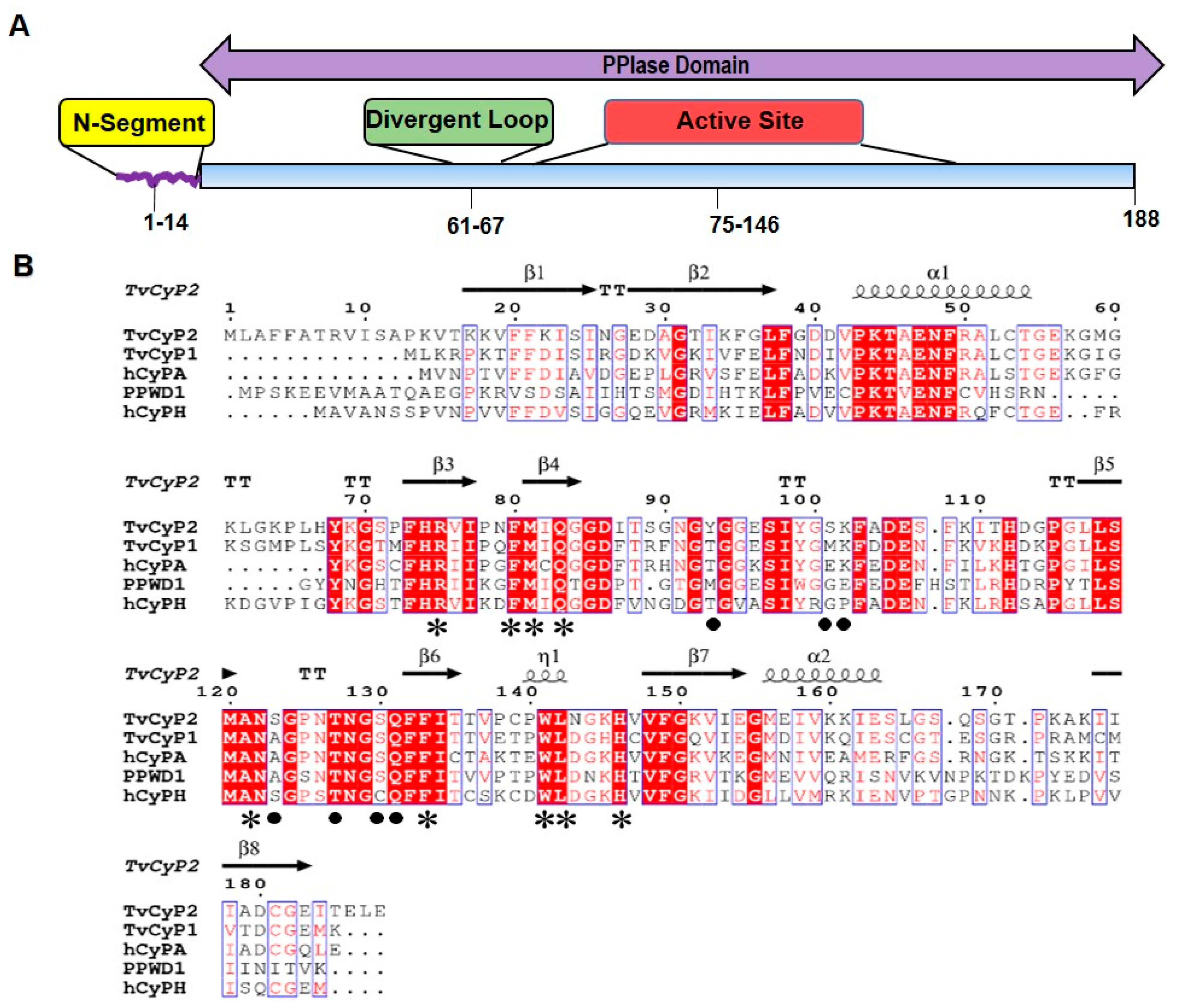 Biomolecules 10 01239 g001