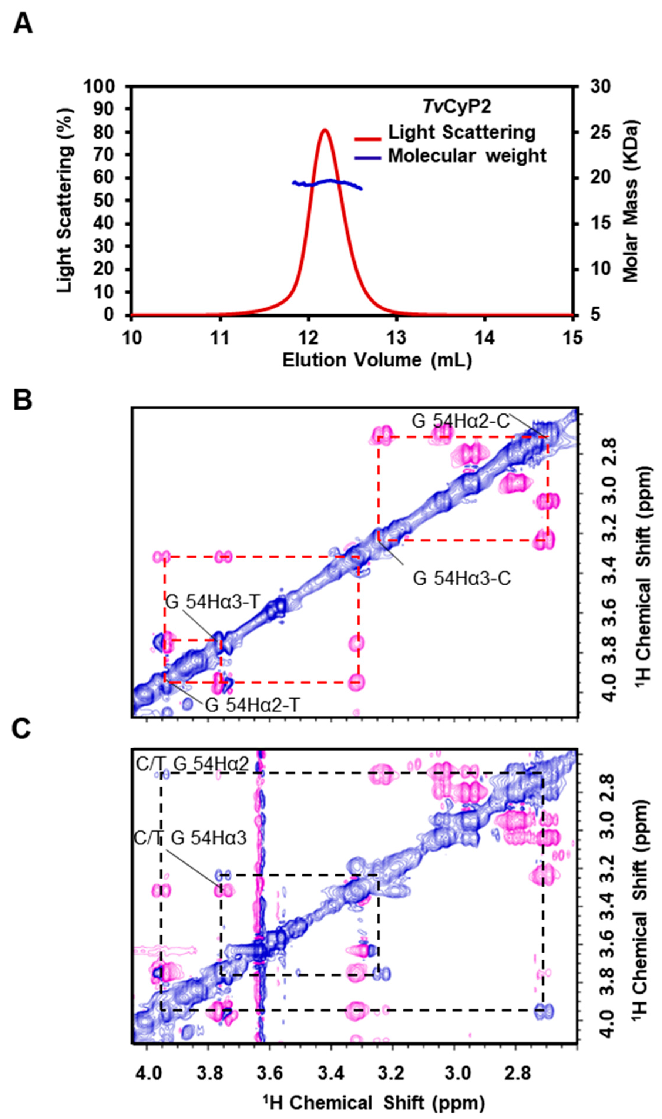 Biomolecules 10 01239 g002