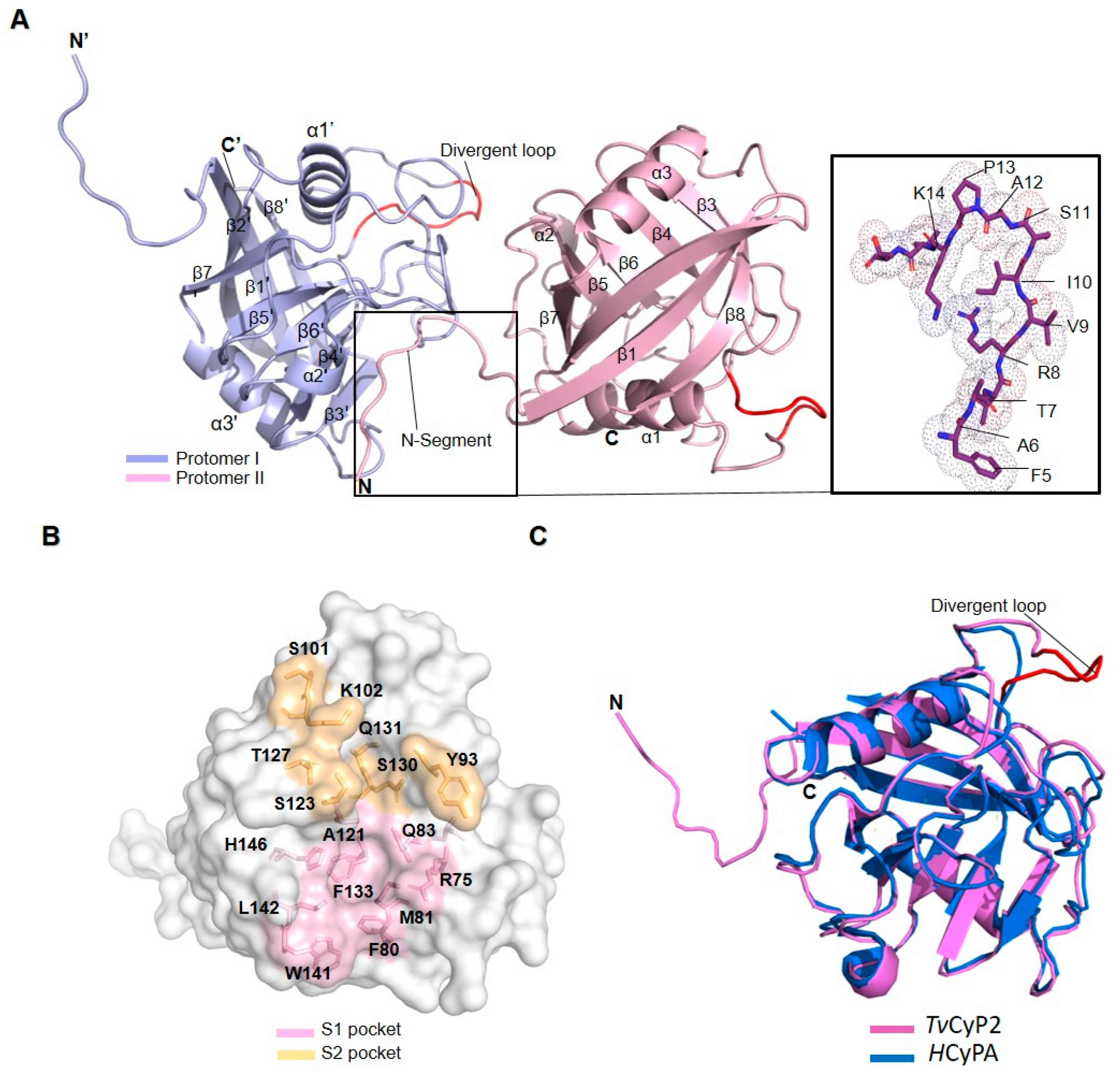 Biomolecules 10 01239 g003