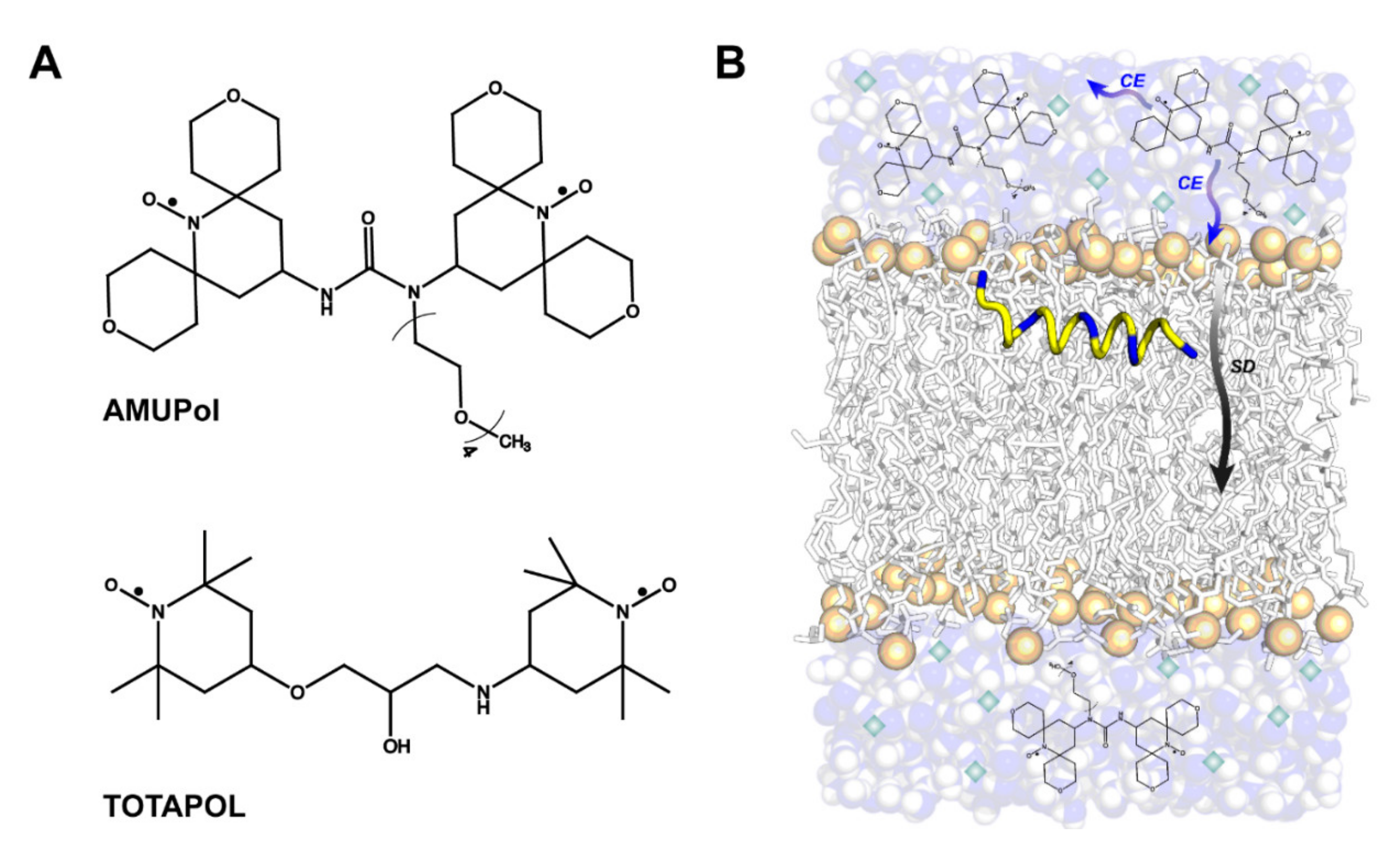Biomolecules 10 01246 g002