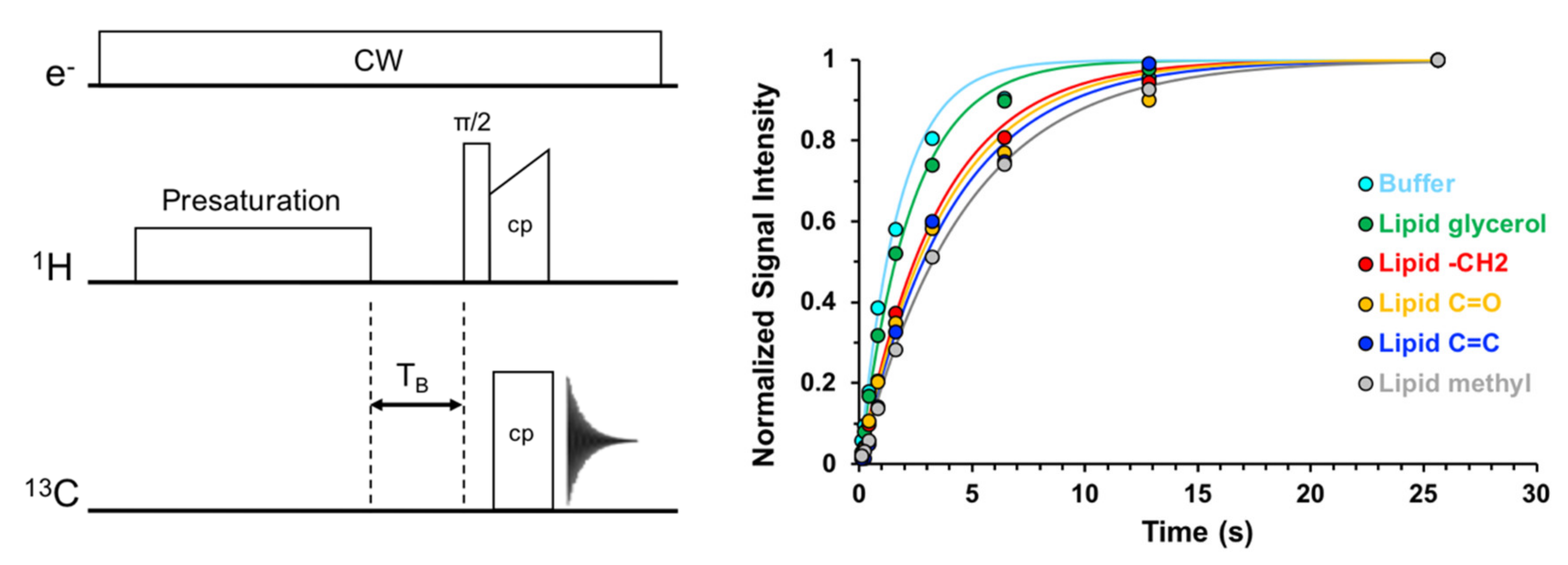 Biomolecules 10 01246 g004