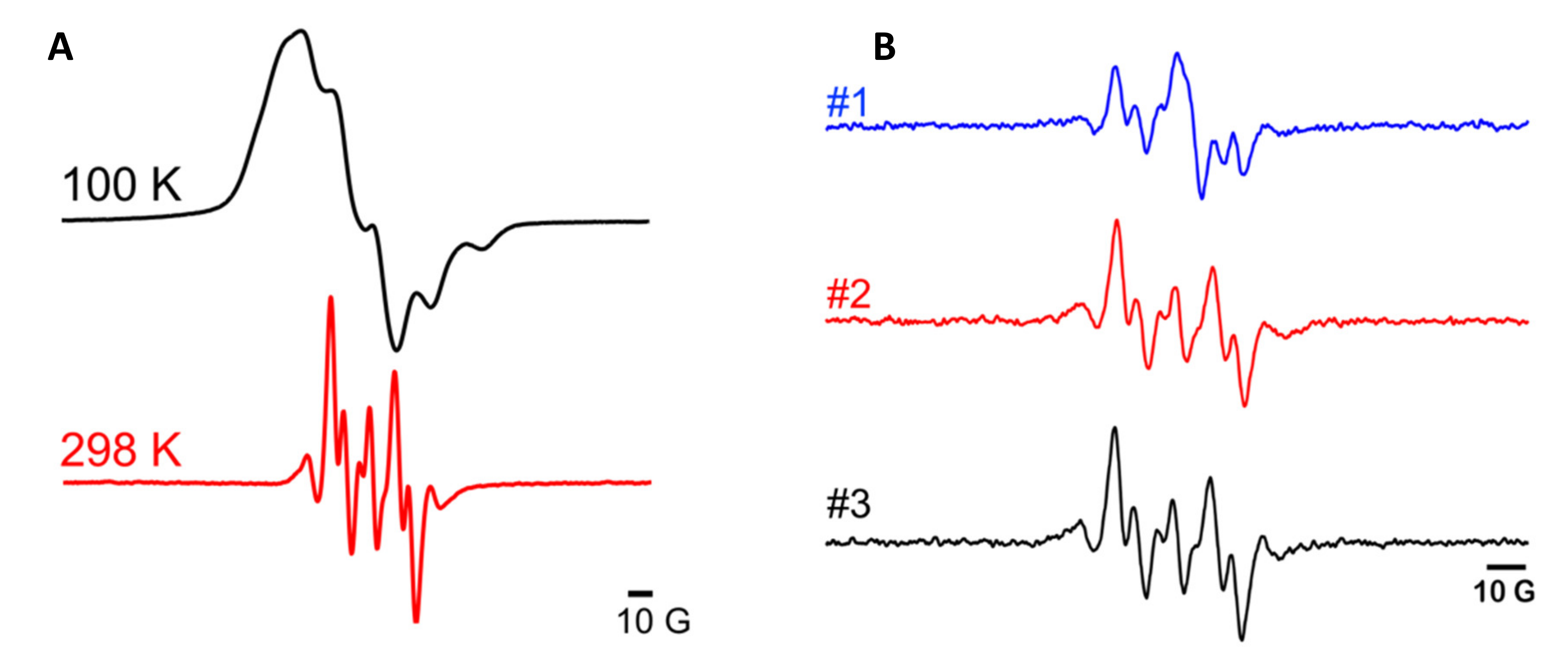 Biomolecules 10 01246 g005