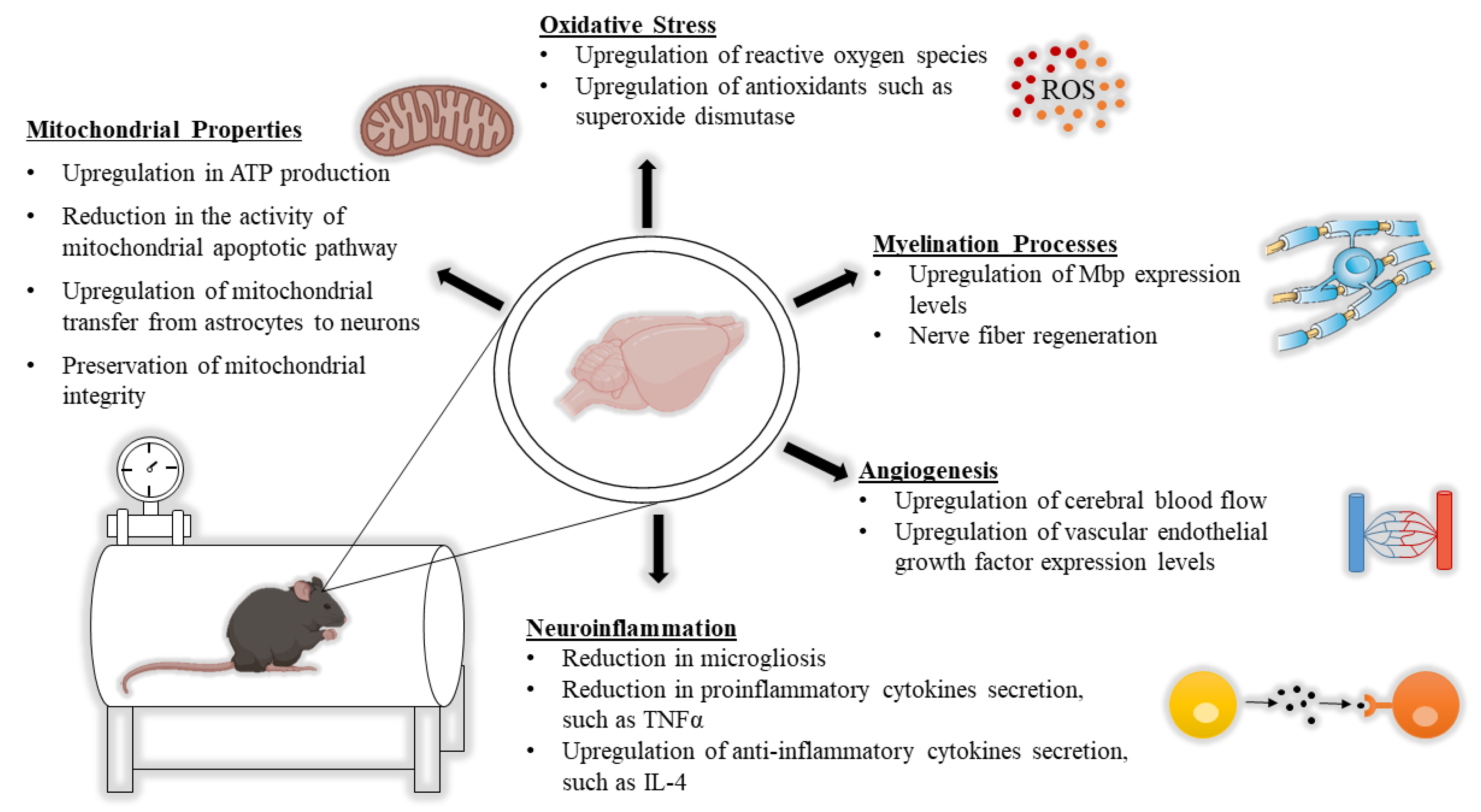 Biomolecules 10 01247 g001