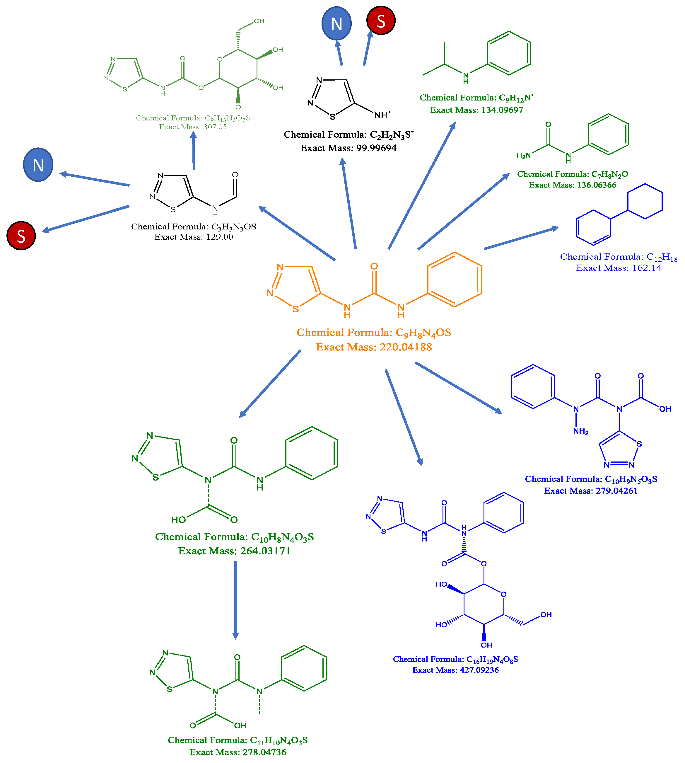 Biomolecules 10 01253 g001
