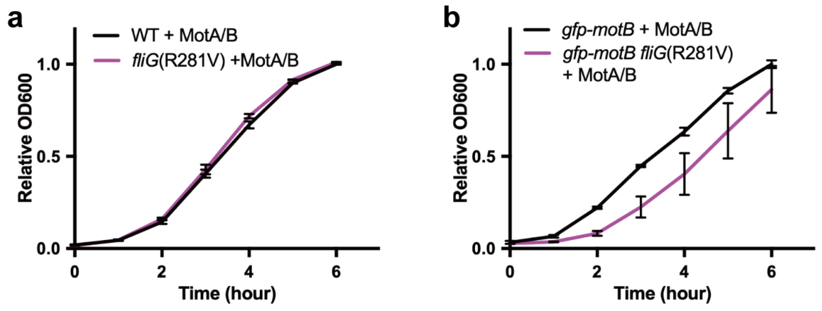 Biomolecules 10 01255 g002