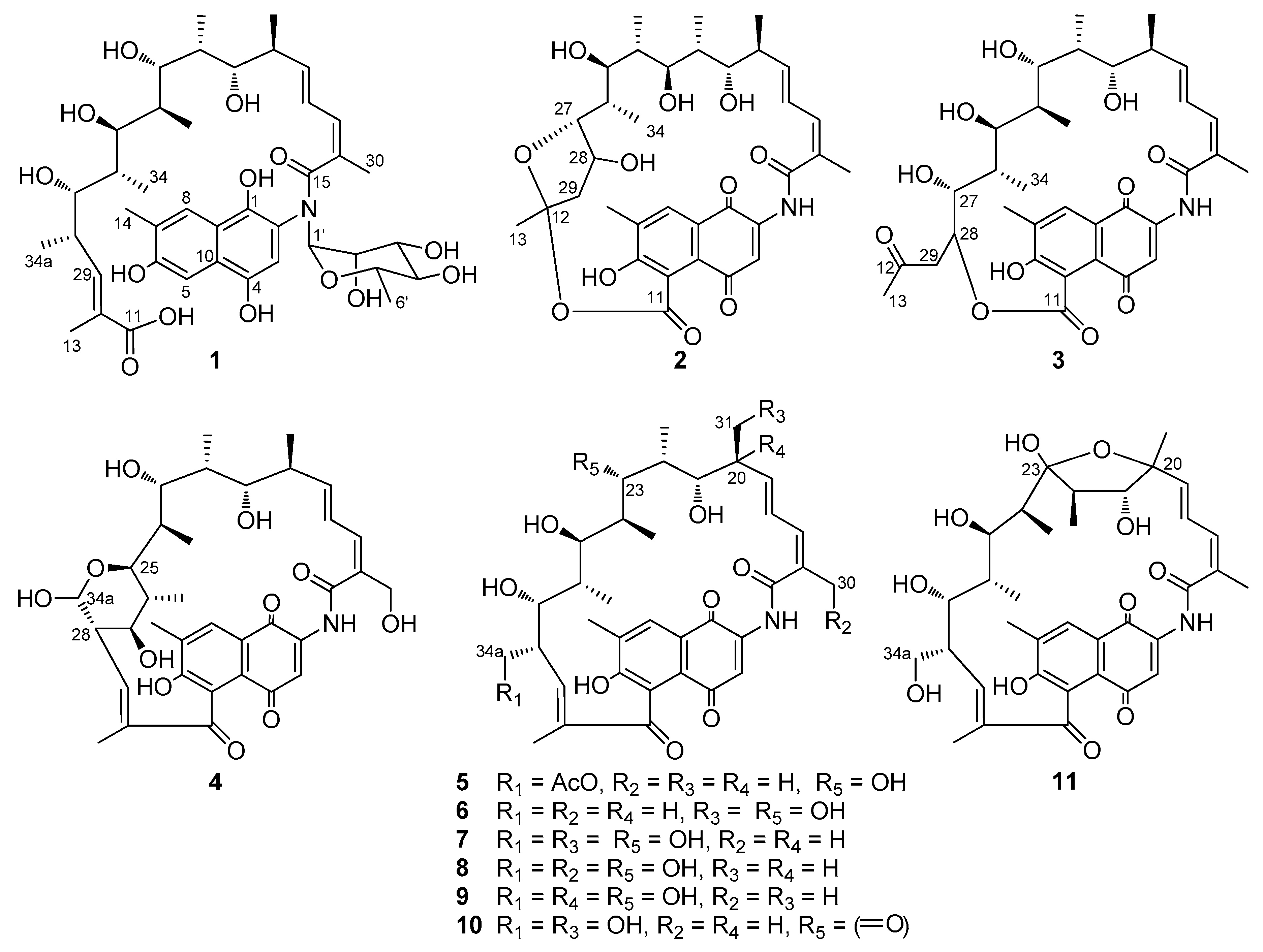 Biomolecules 10 01265 g001 Biomolecules 10 01265 g001