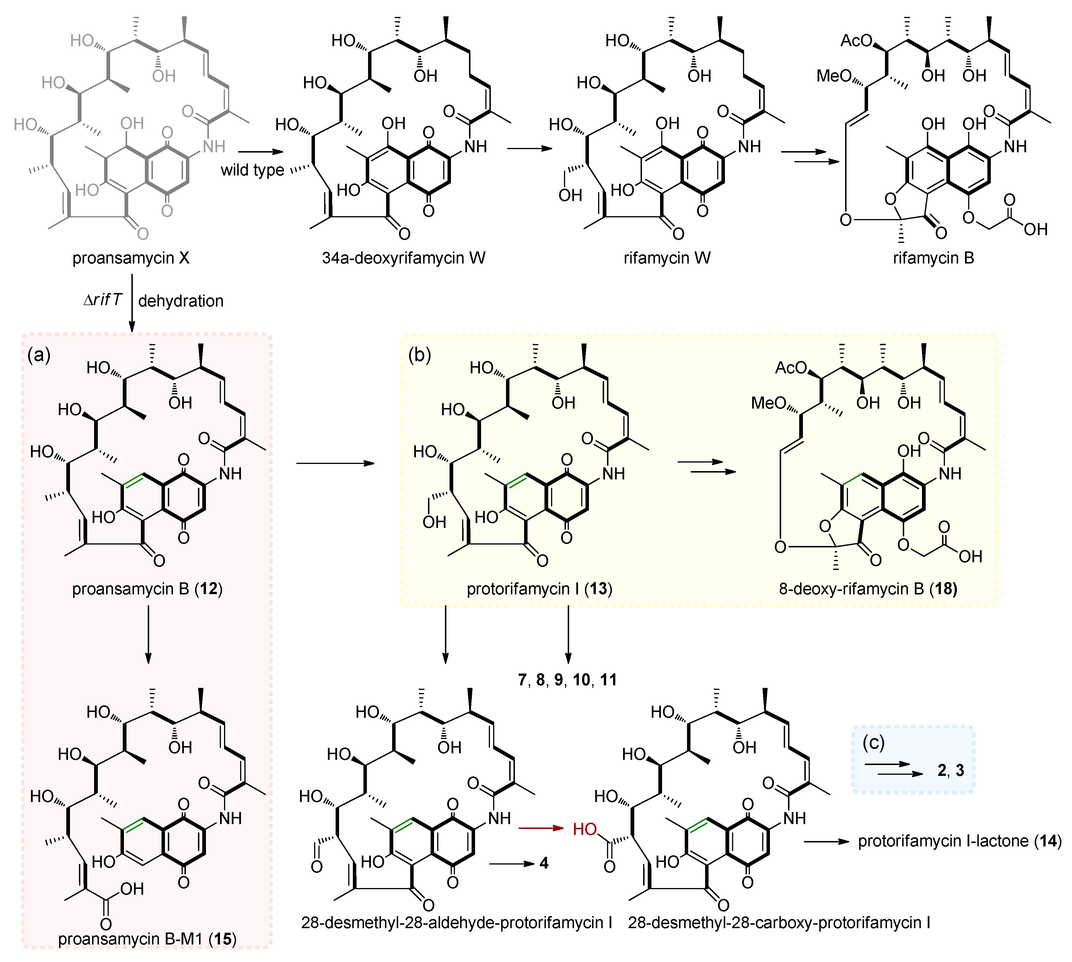 Biomolecules 10 01265 g004 Biomolecules 10 01265 g004