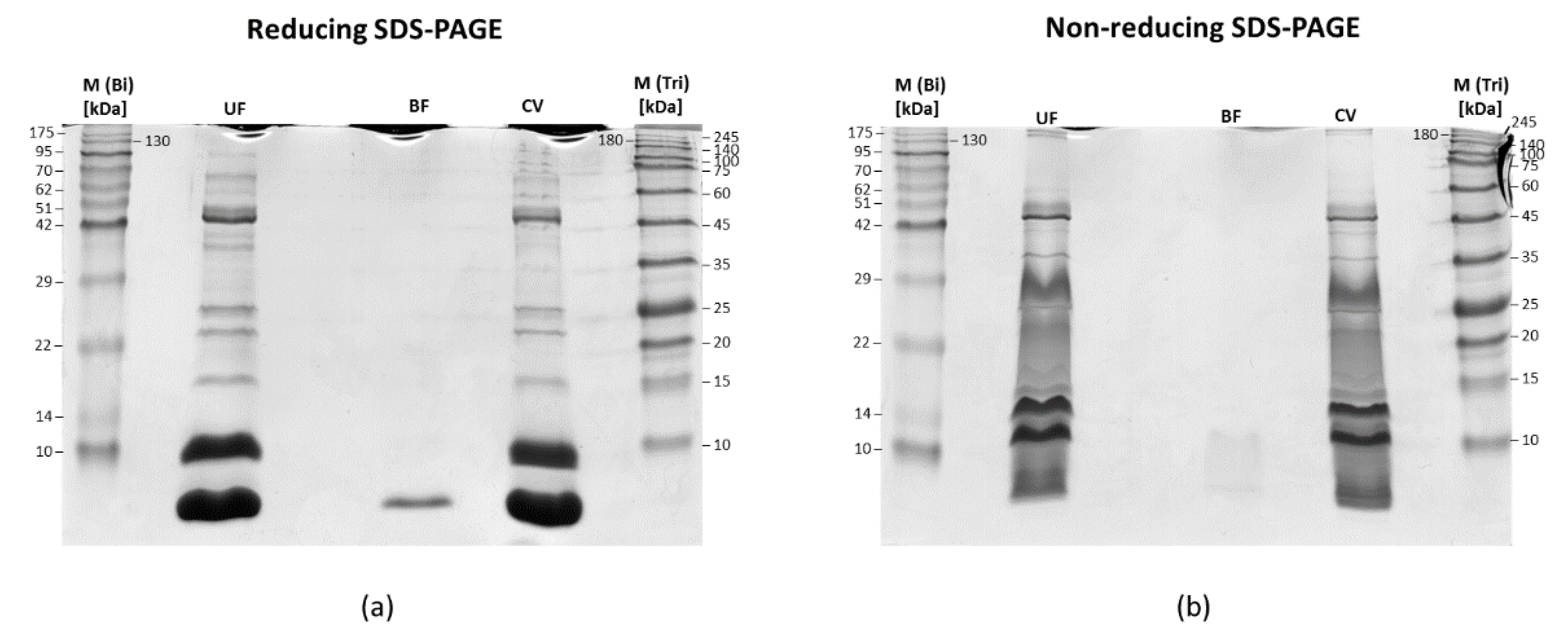 Biomolecules 10 01282 g005