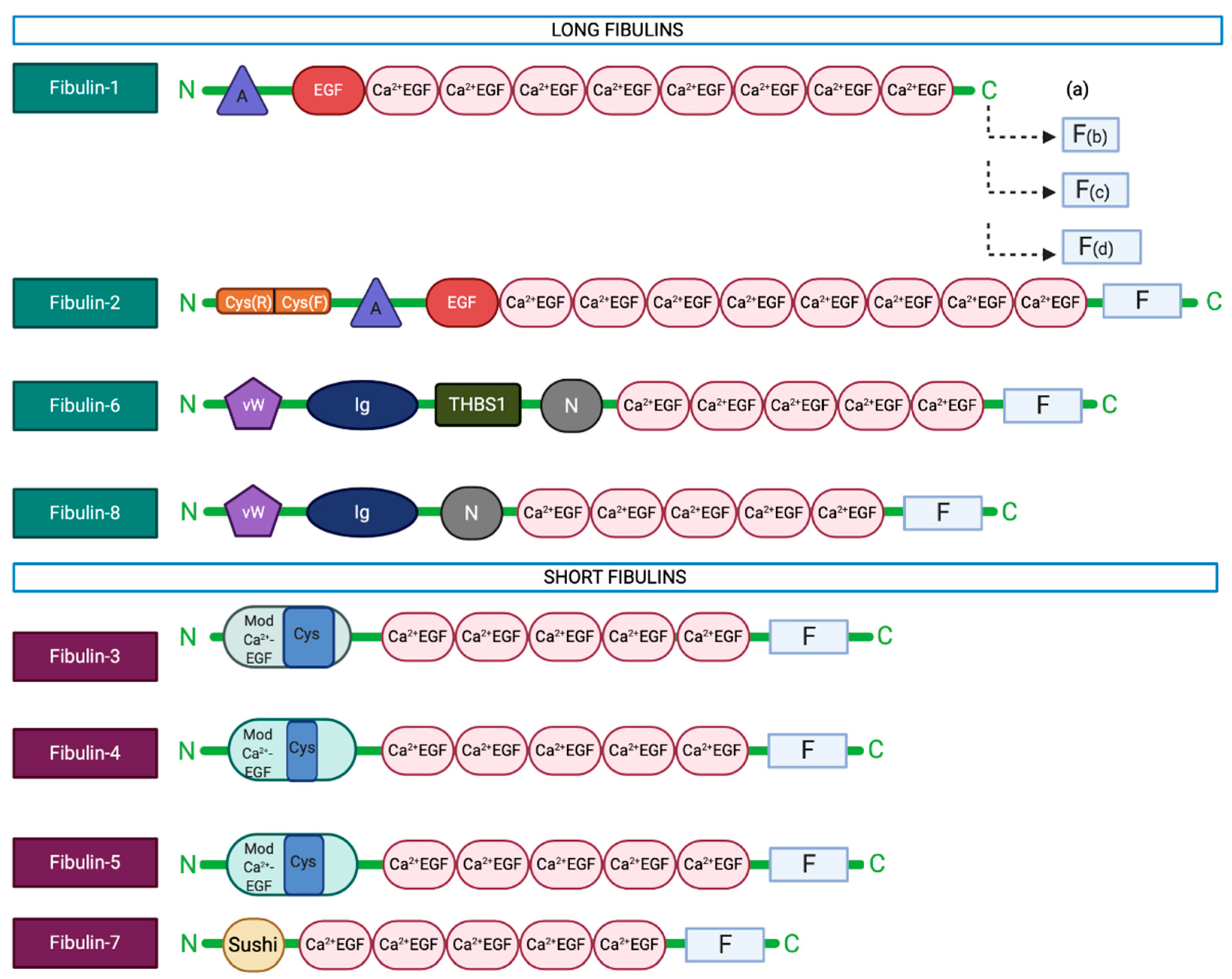 Biomolecules 10 01294 g001 Biomolecules 10 01294 g001