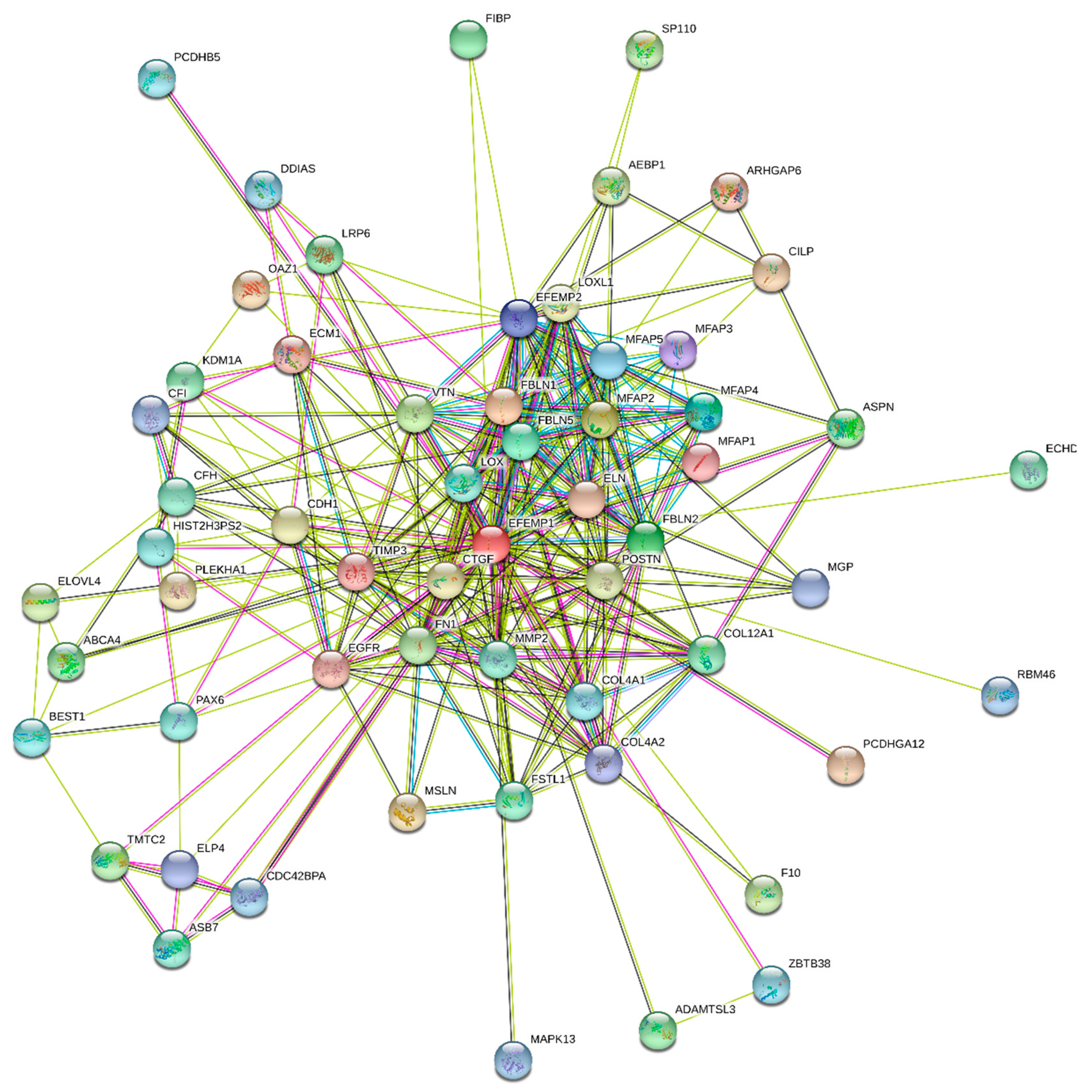 Biomolecules 10 01294 g002 Biomolecules 10 01294 g002