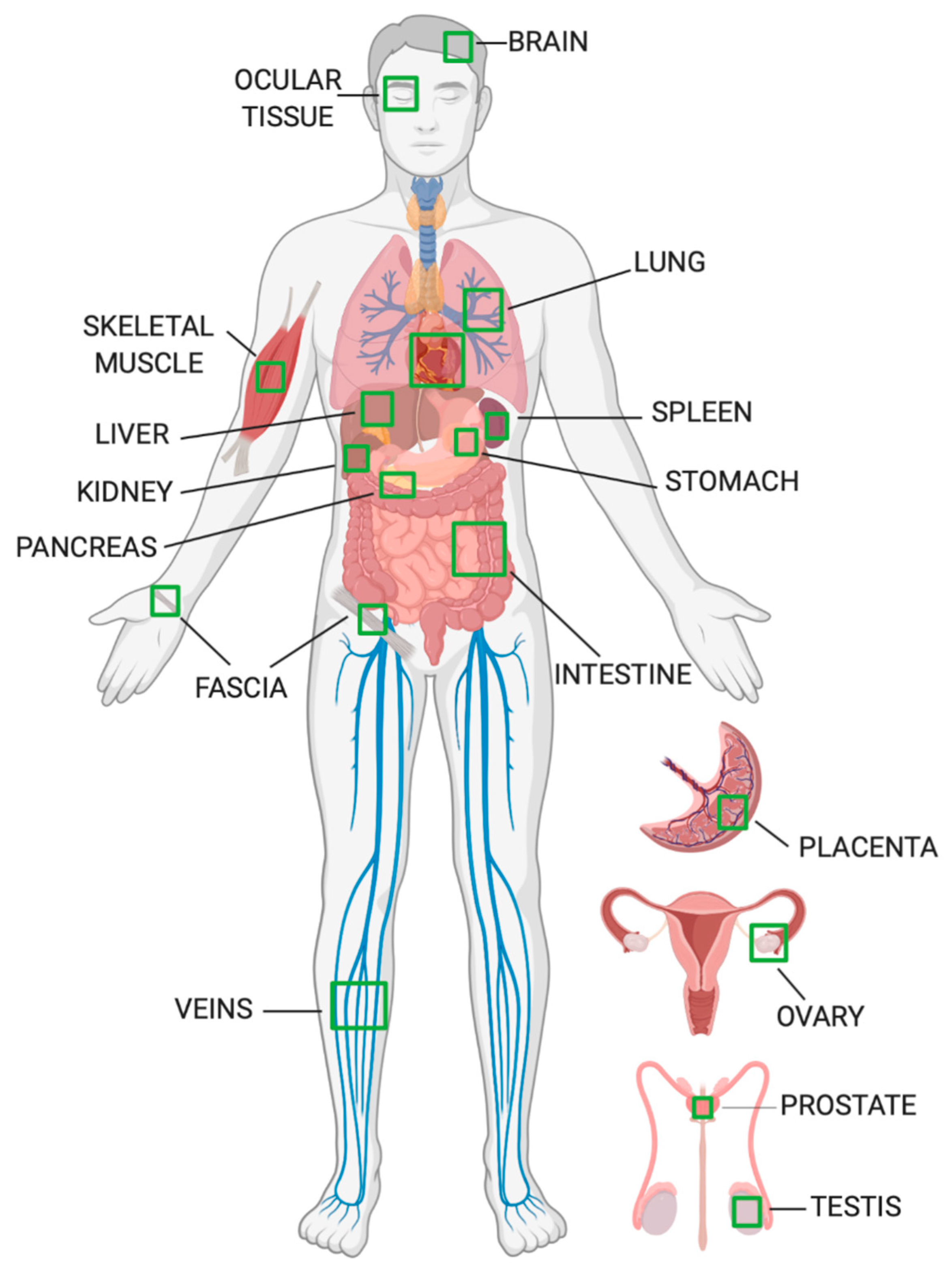 Biomolecules 10 01294 g004 Biomolecules 10 01294 g004