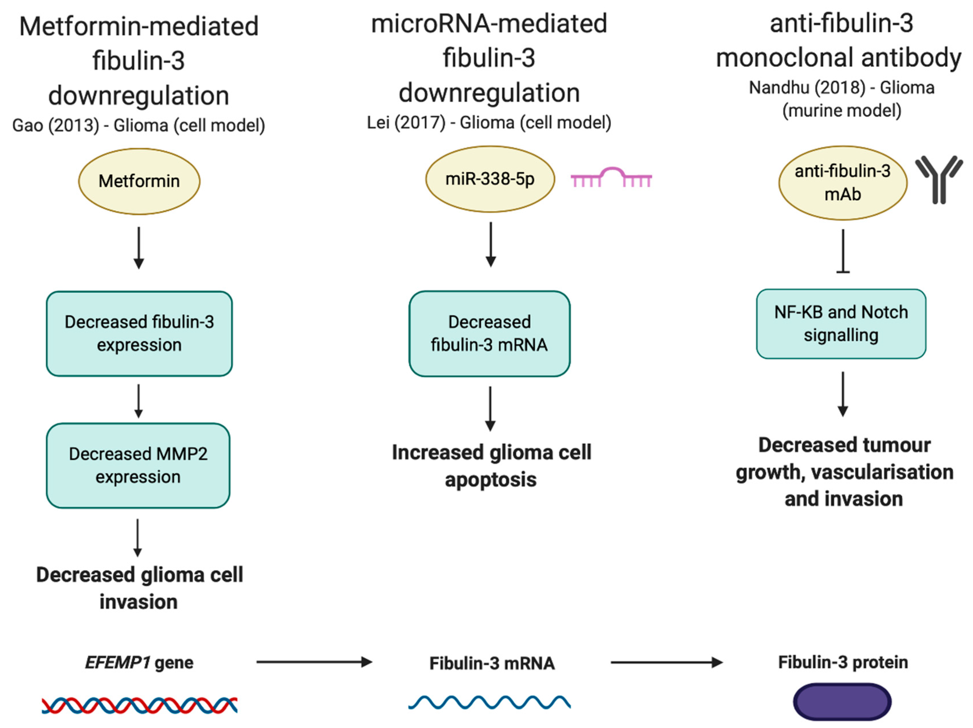 Biomolecules 10 01294 g006 Biomolecules 10 01294 g006