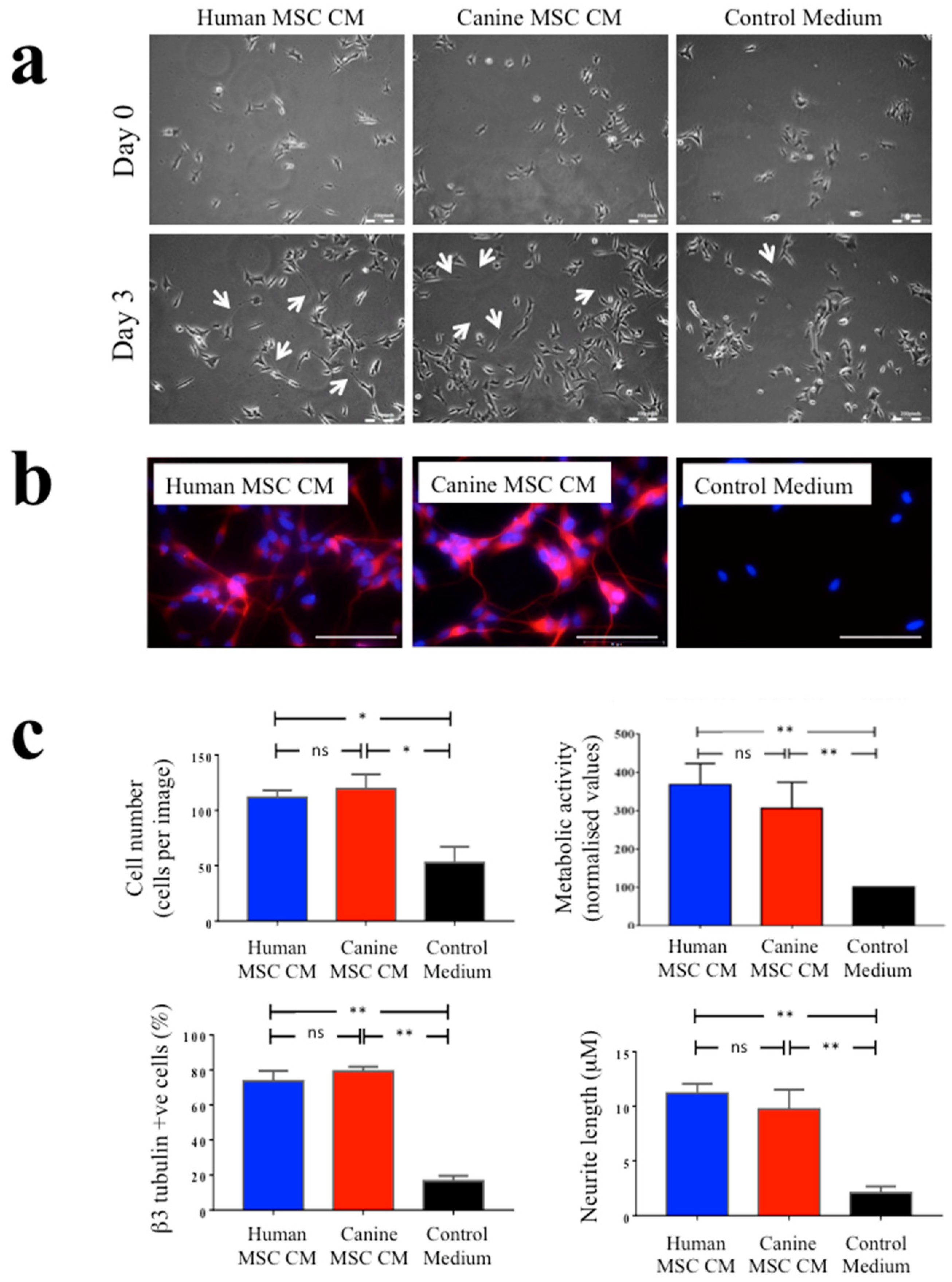 Biomolecules 10 01301 g002 Biomolecules 10 01301 g002