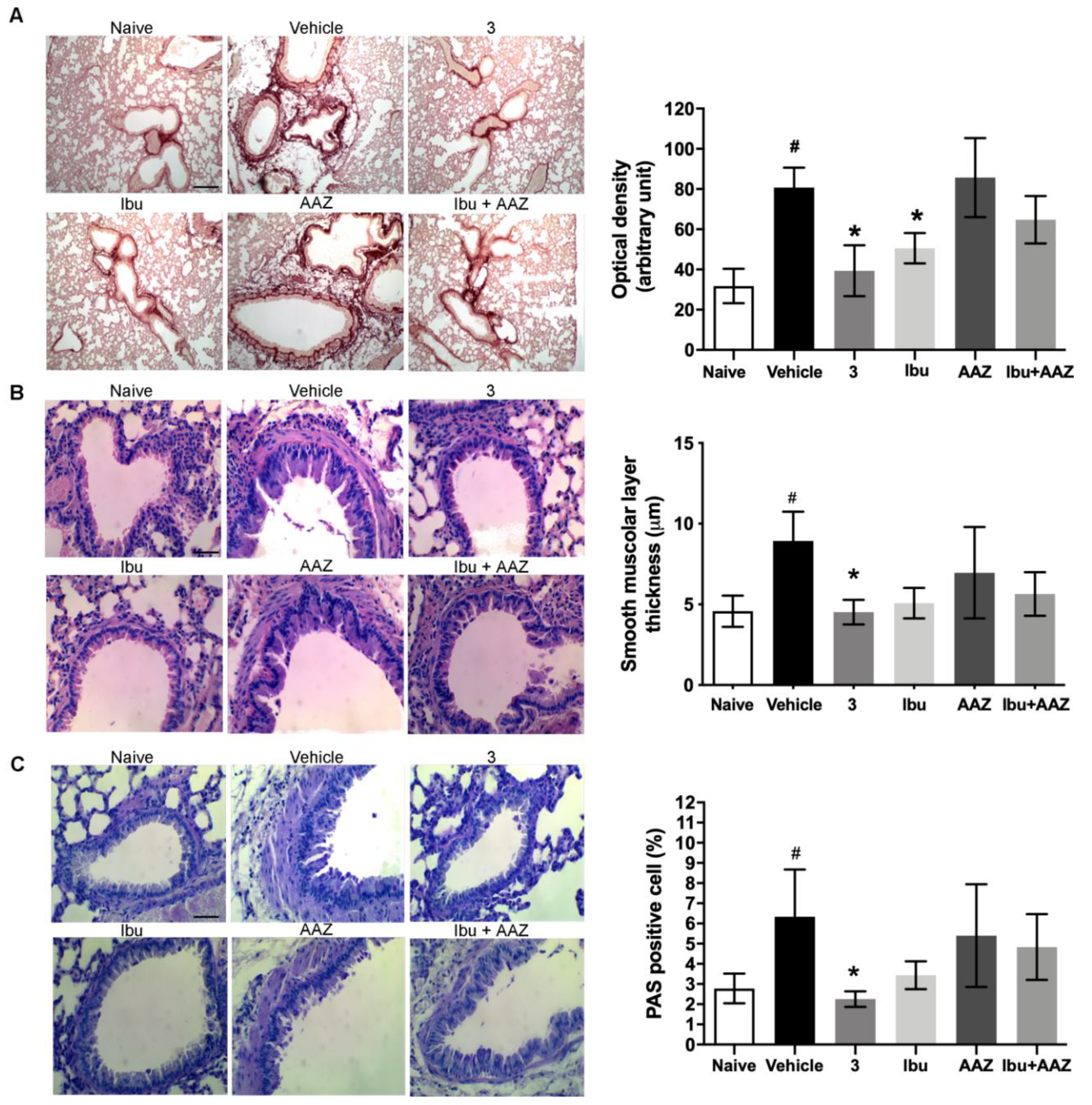Biomolecules 10 01307 g006