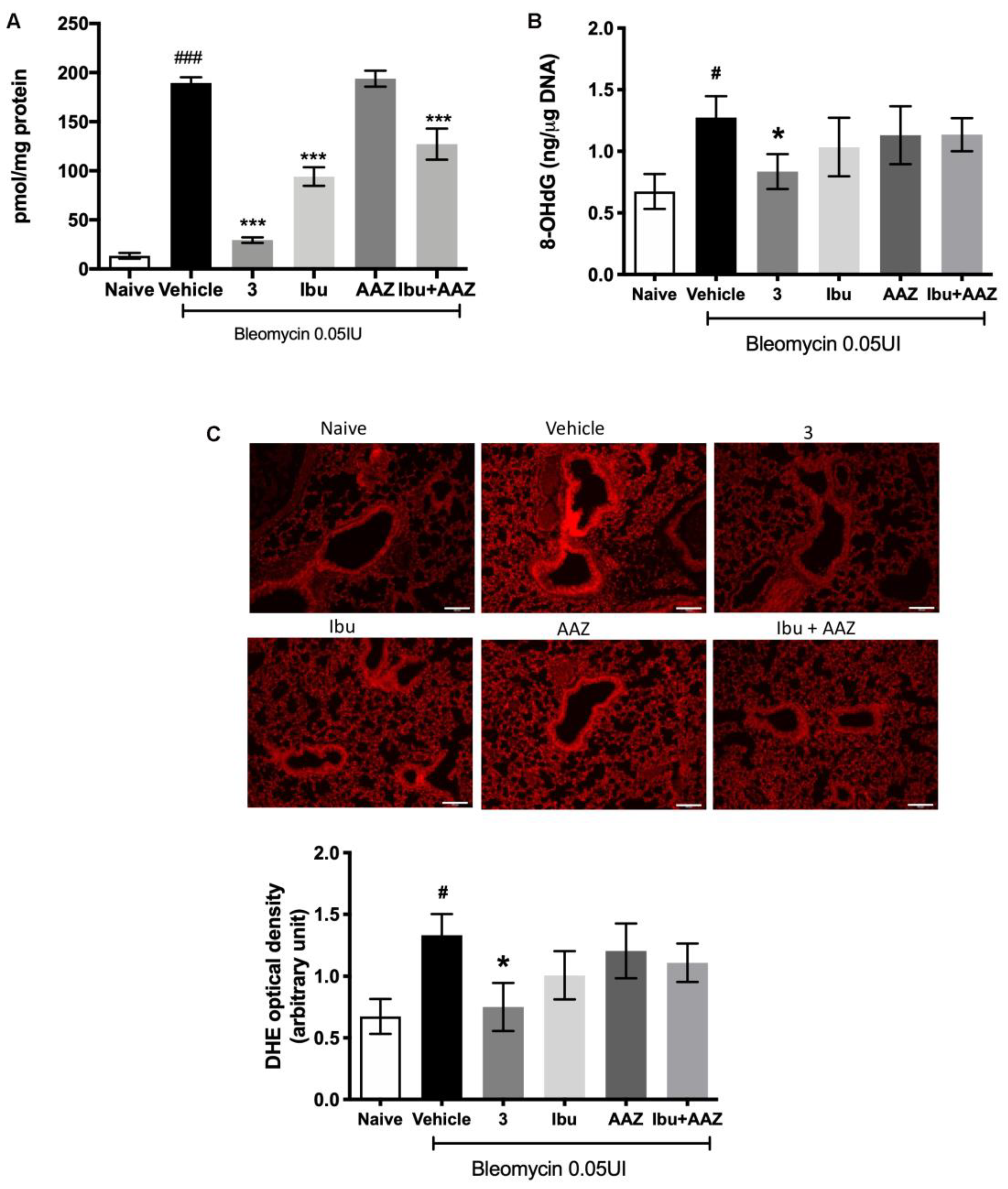 Biomolecules 10 01307 g008