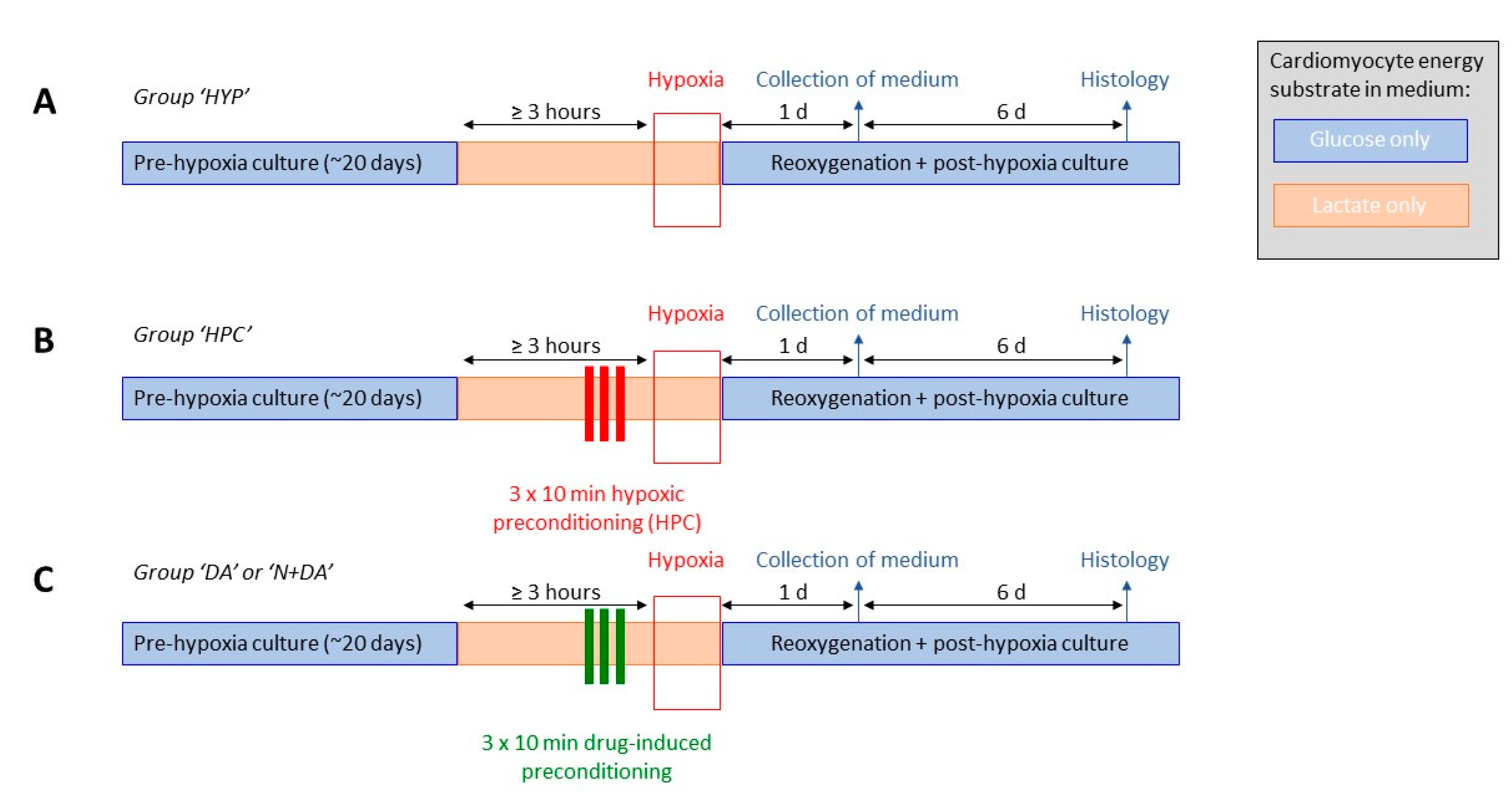 Biomolecules 10 01309 g001