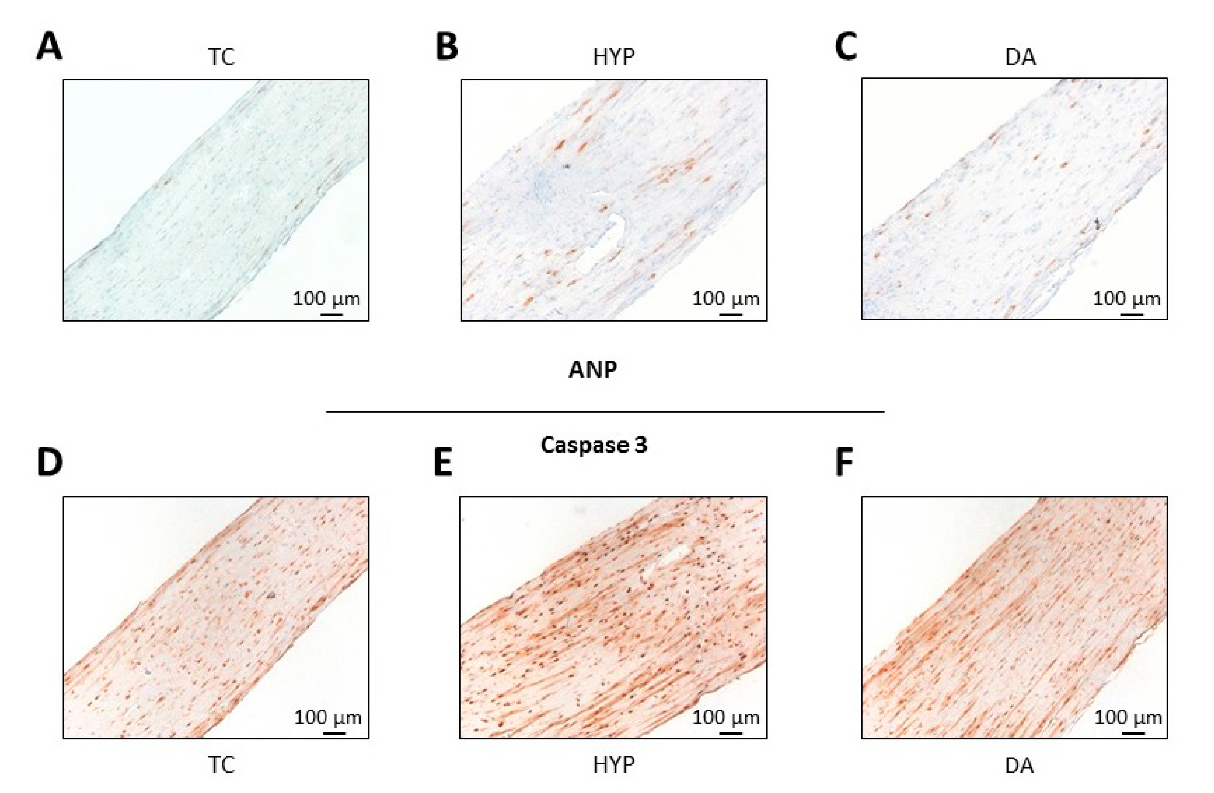 Biomolecules 10 01309 g005