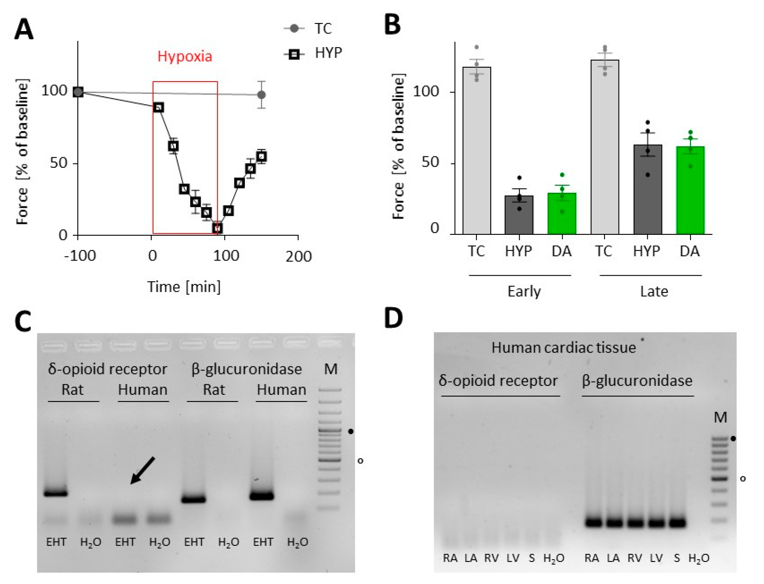 Biomolecules 10 01309 g006