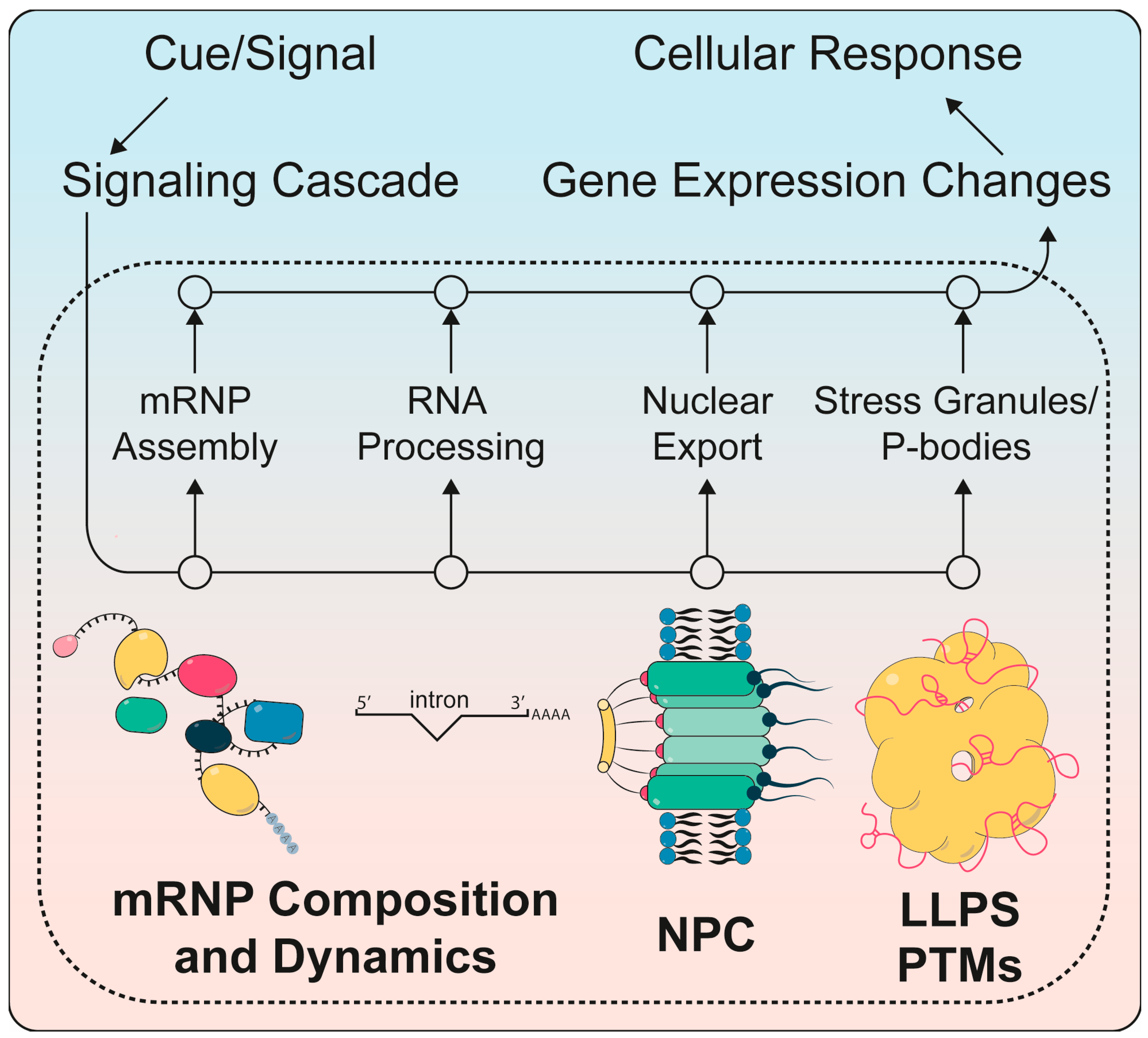 Biomolecules 10 01310 g001