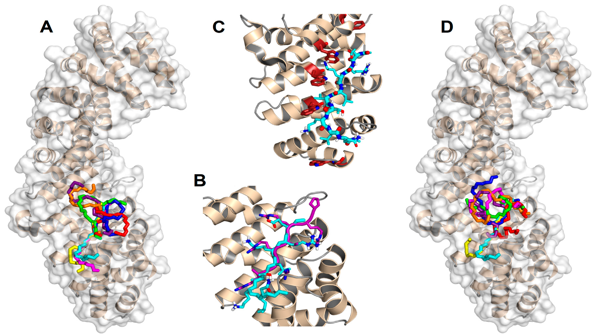 Biomolecules 10 01313 g004 Biomolecules 10 01313 g004