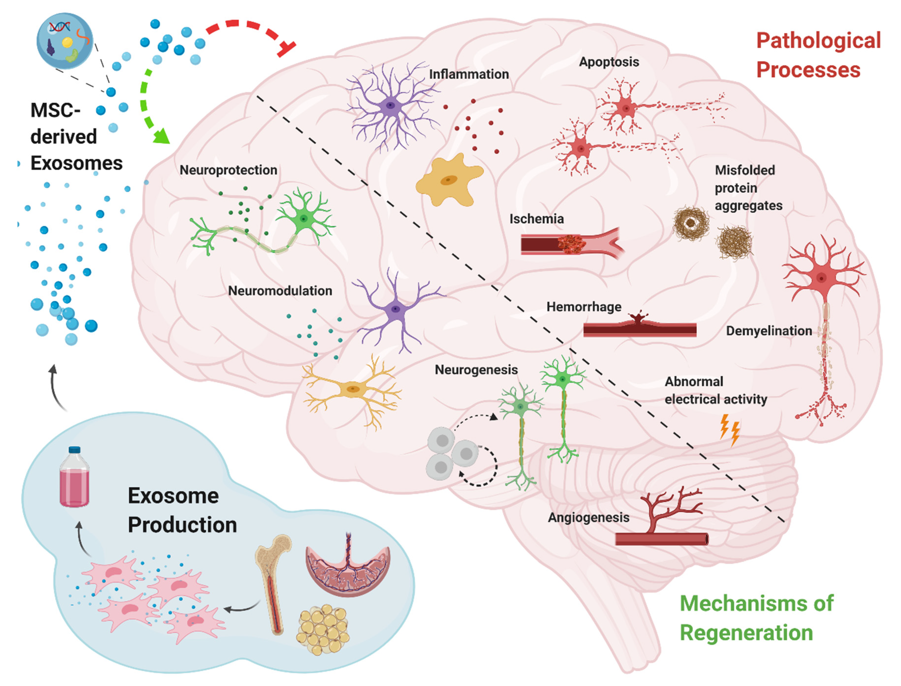 Biomolecules 10 01320 g001