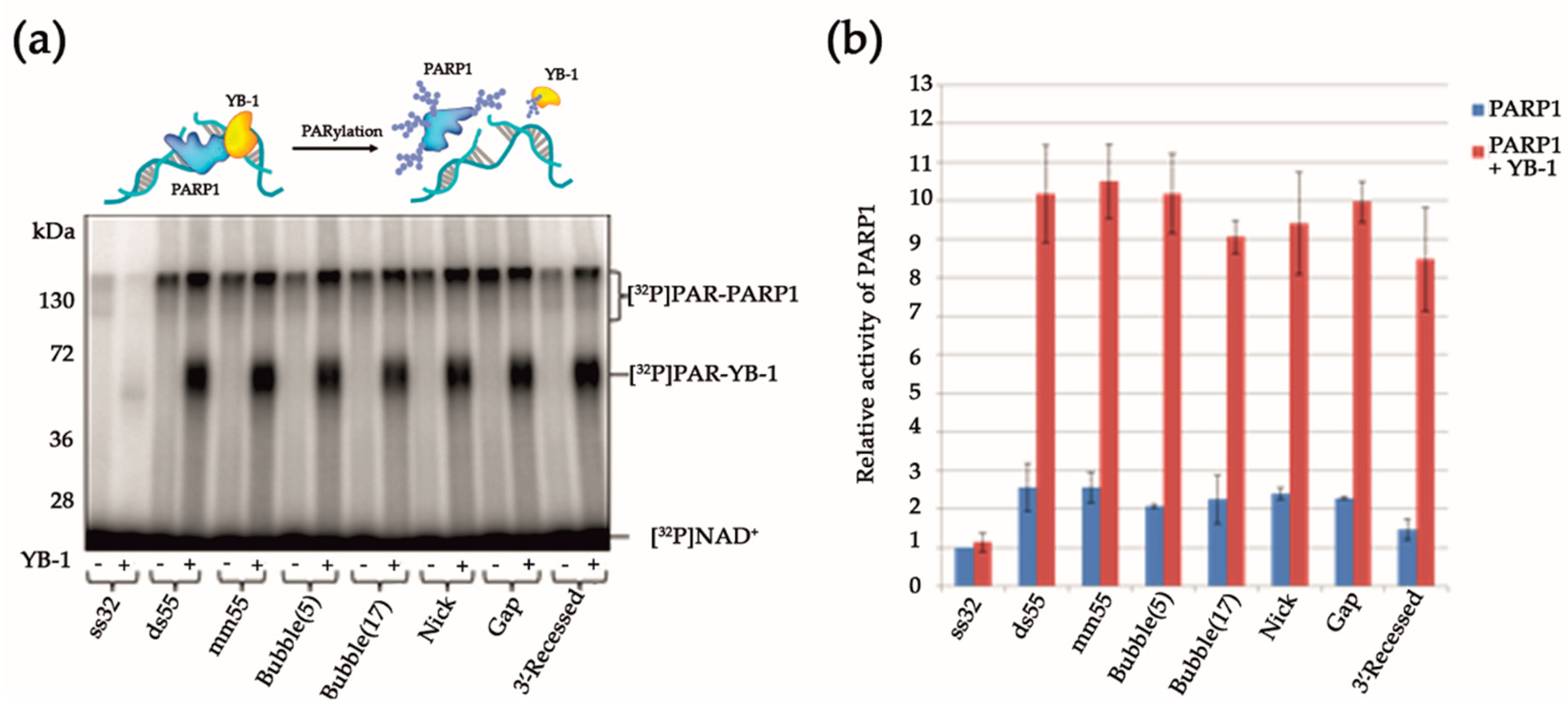 Biomolecules 10 01325 g002