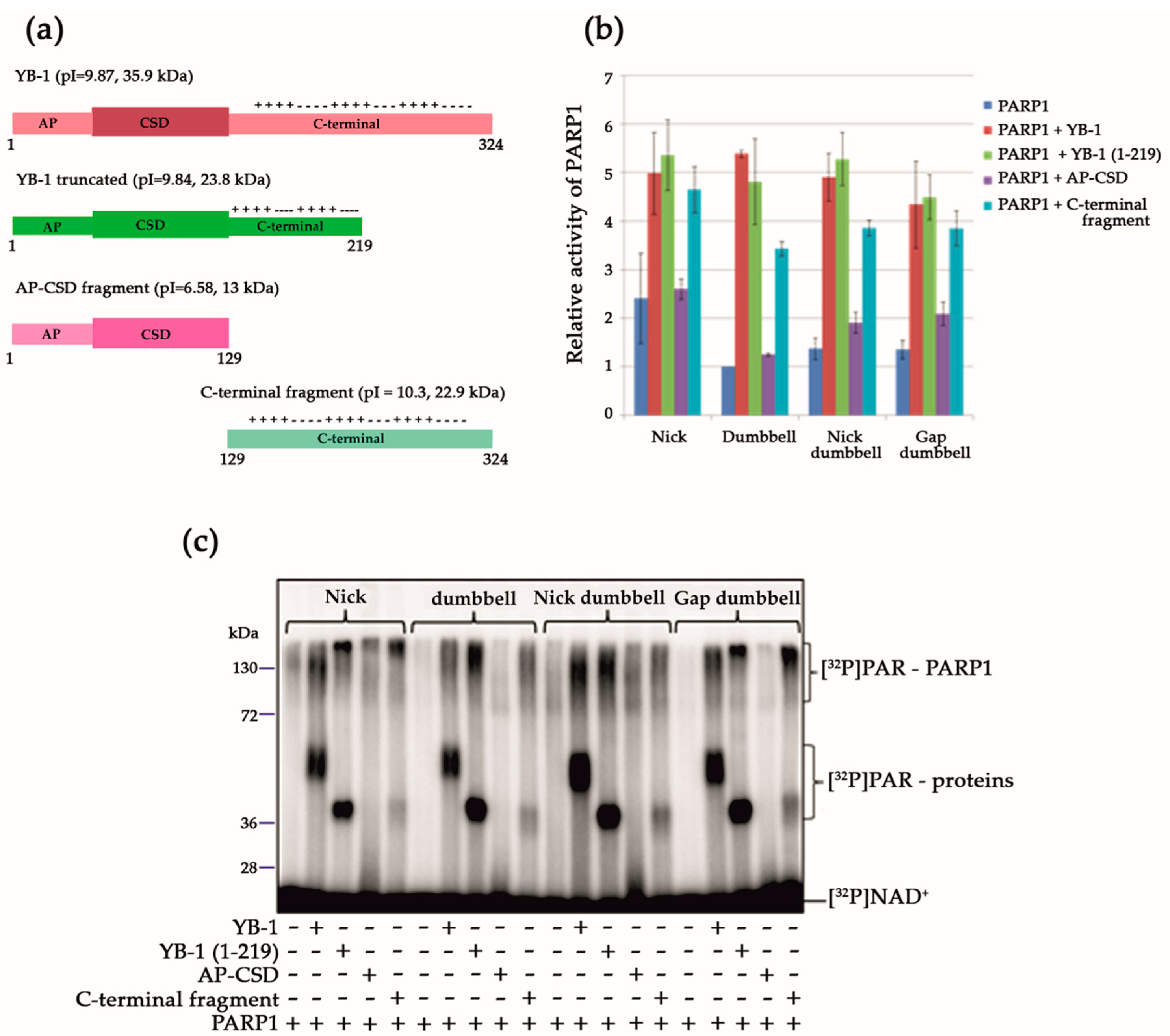 Biomolecules 10 01325 g003