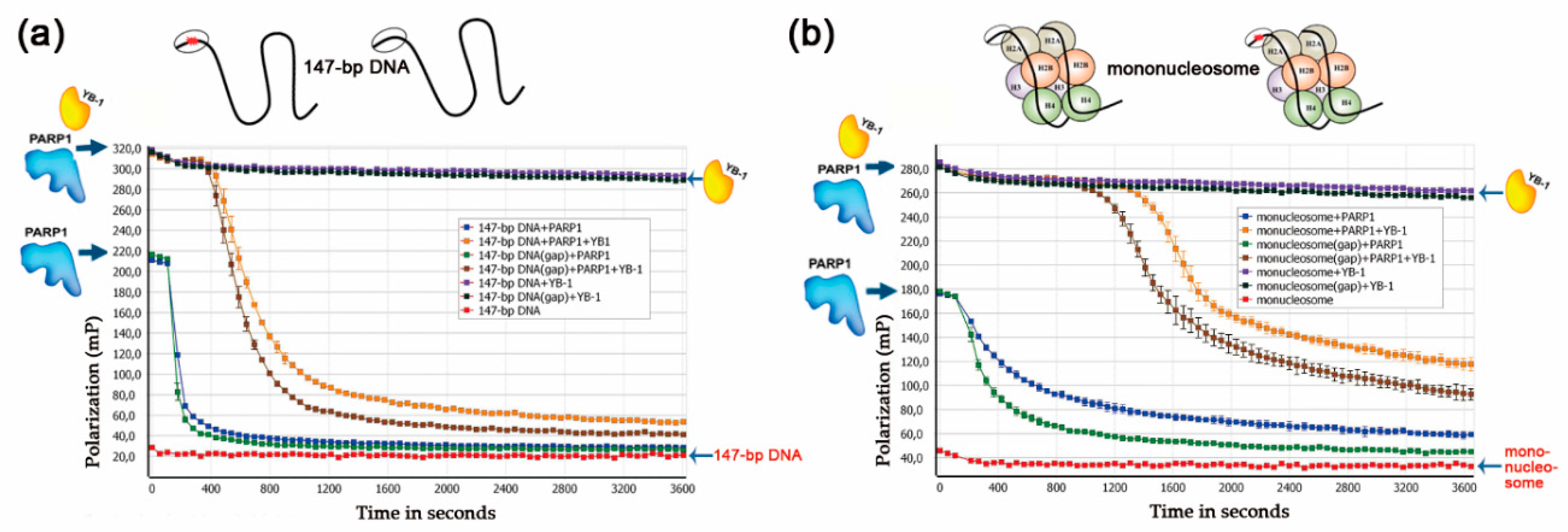 Biomolecules 10 01325 g005